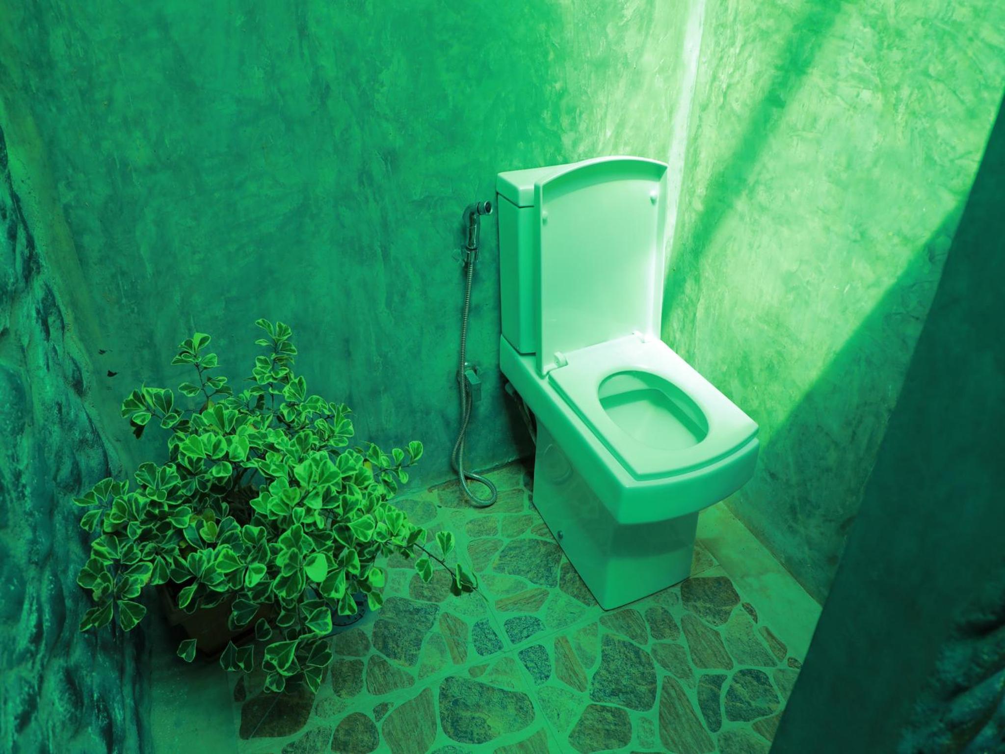 Le Palme Ahangama