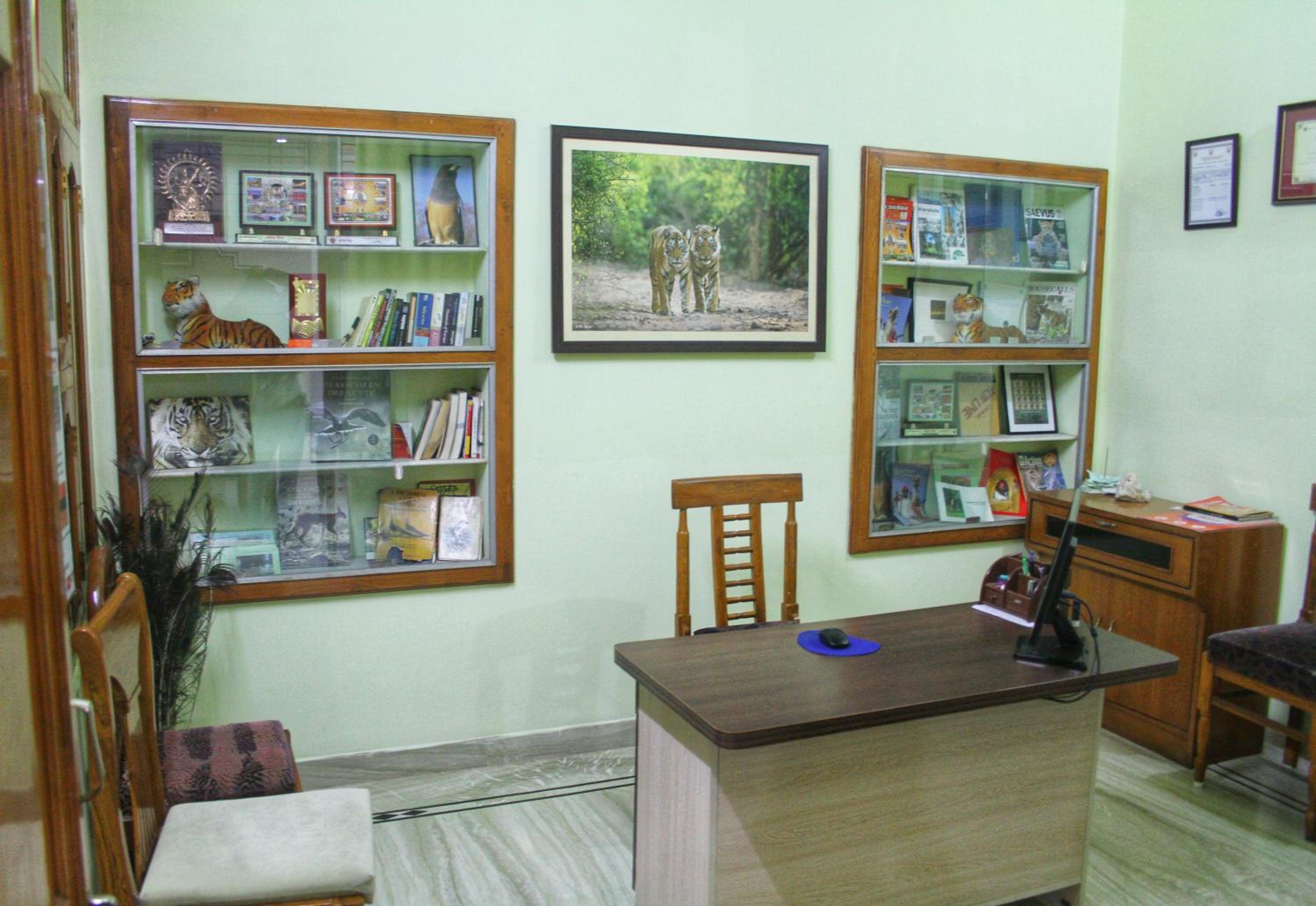 Photo 8