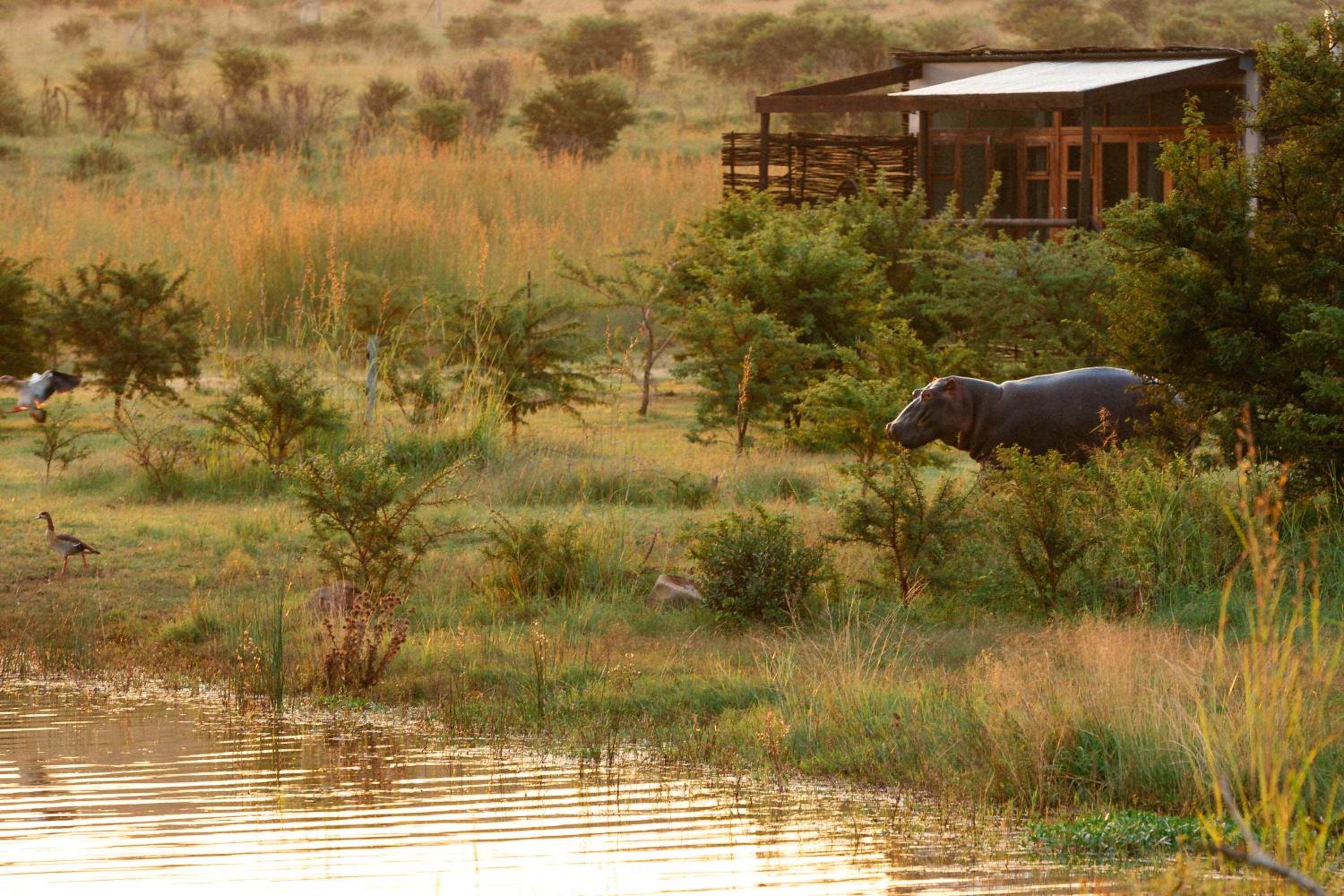 Cheetah Ridge Lodge view 4