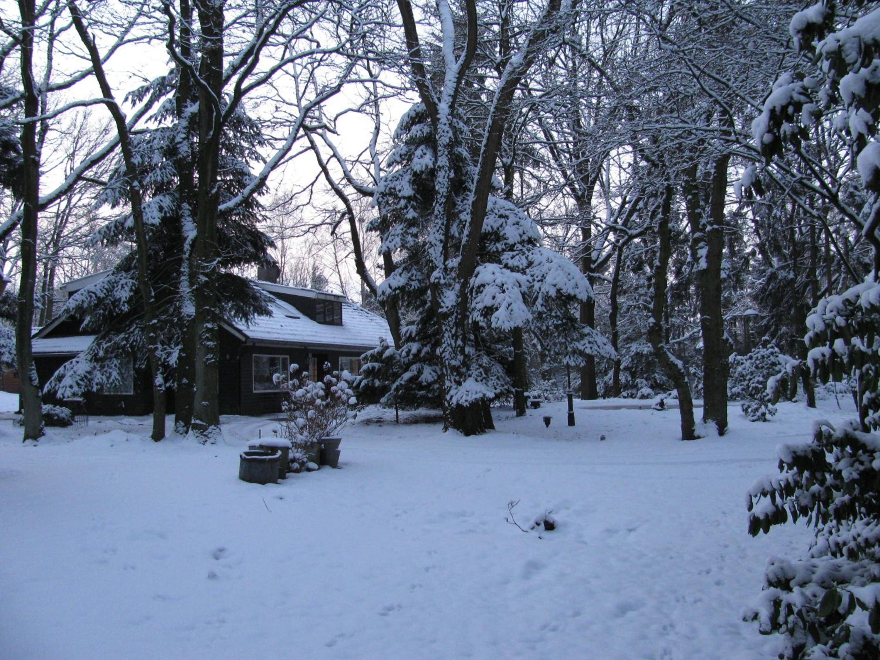 Photo 16