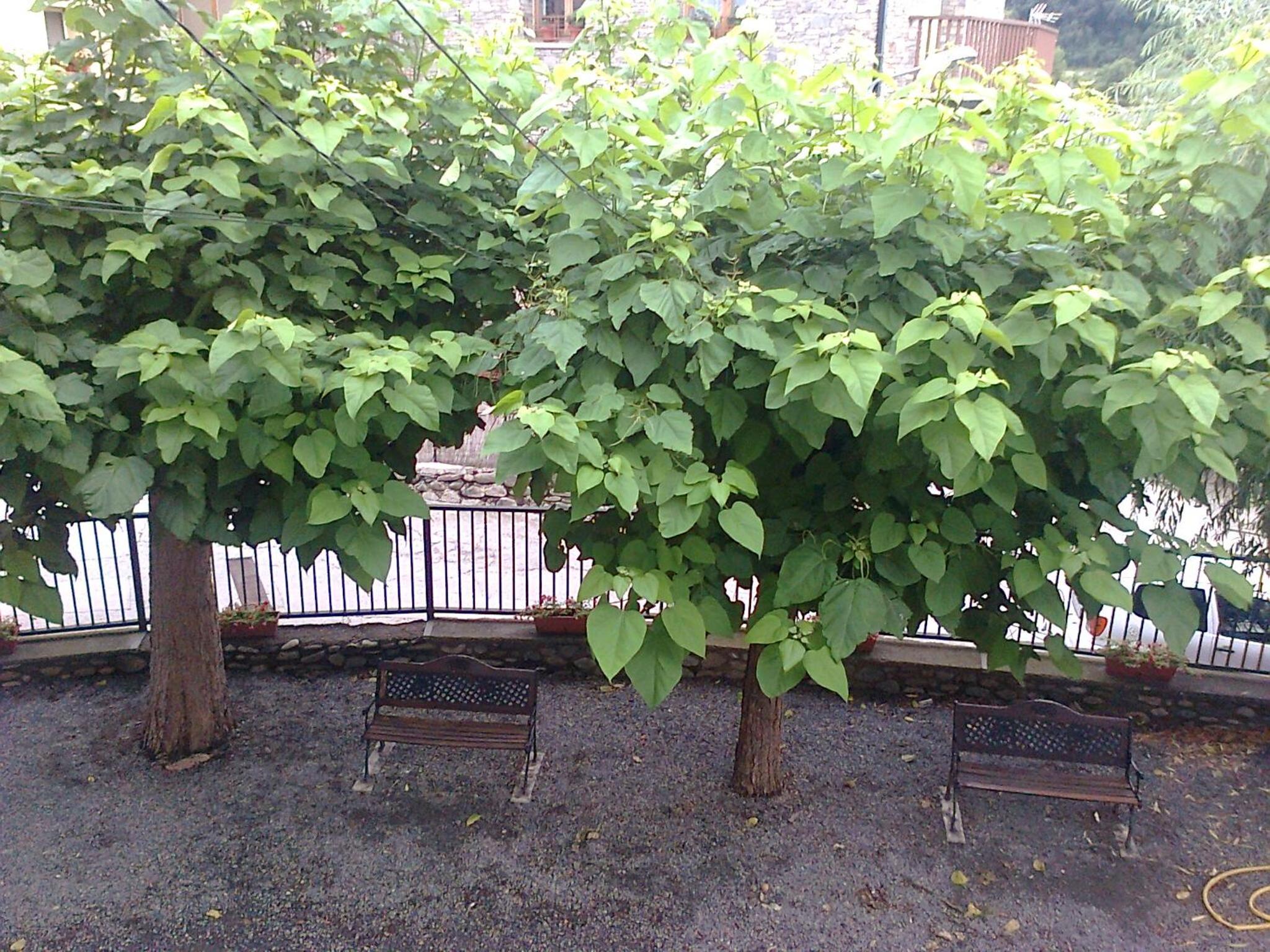 Photo 48