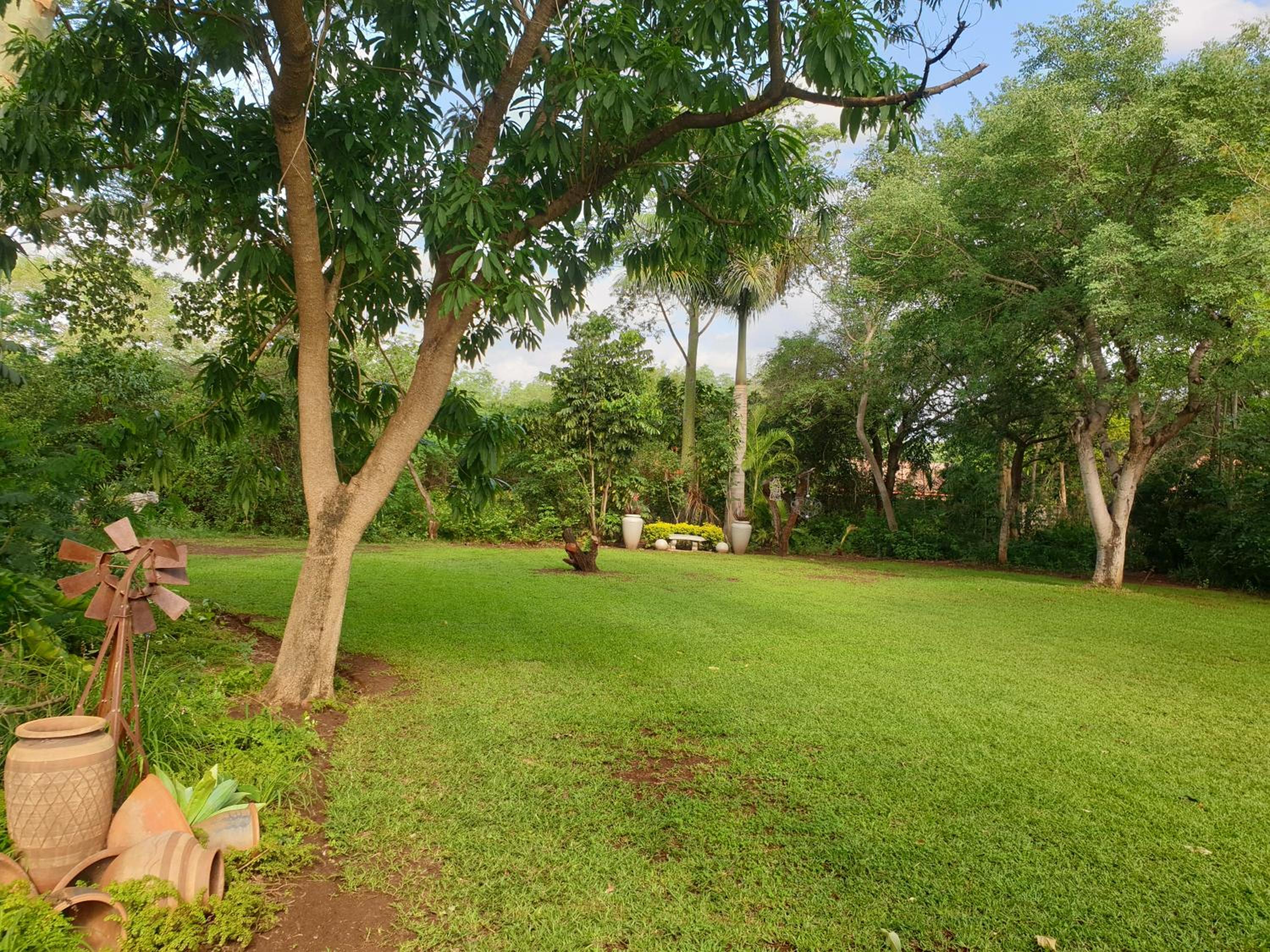 Kruger Allo B&B view 5