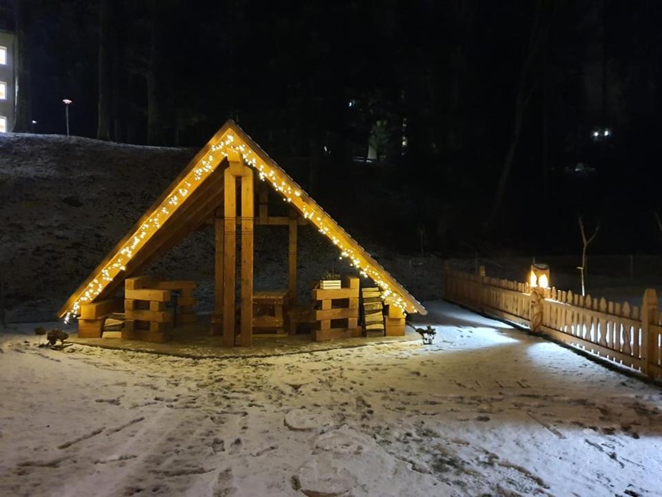 Photo 41