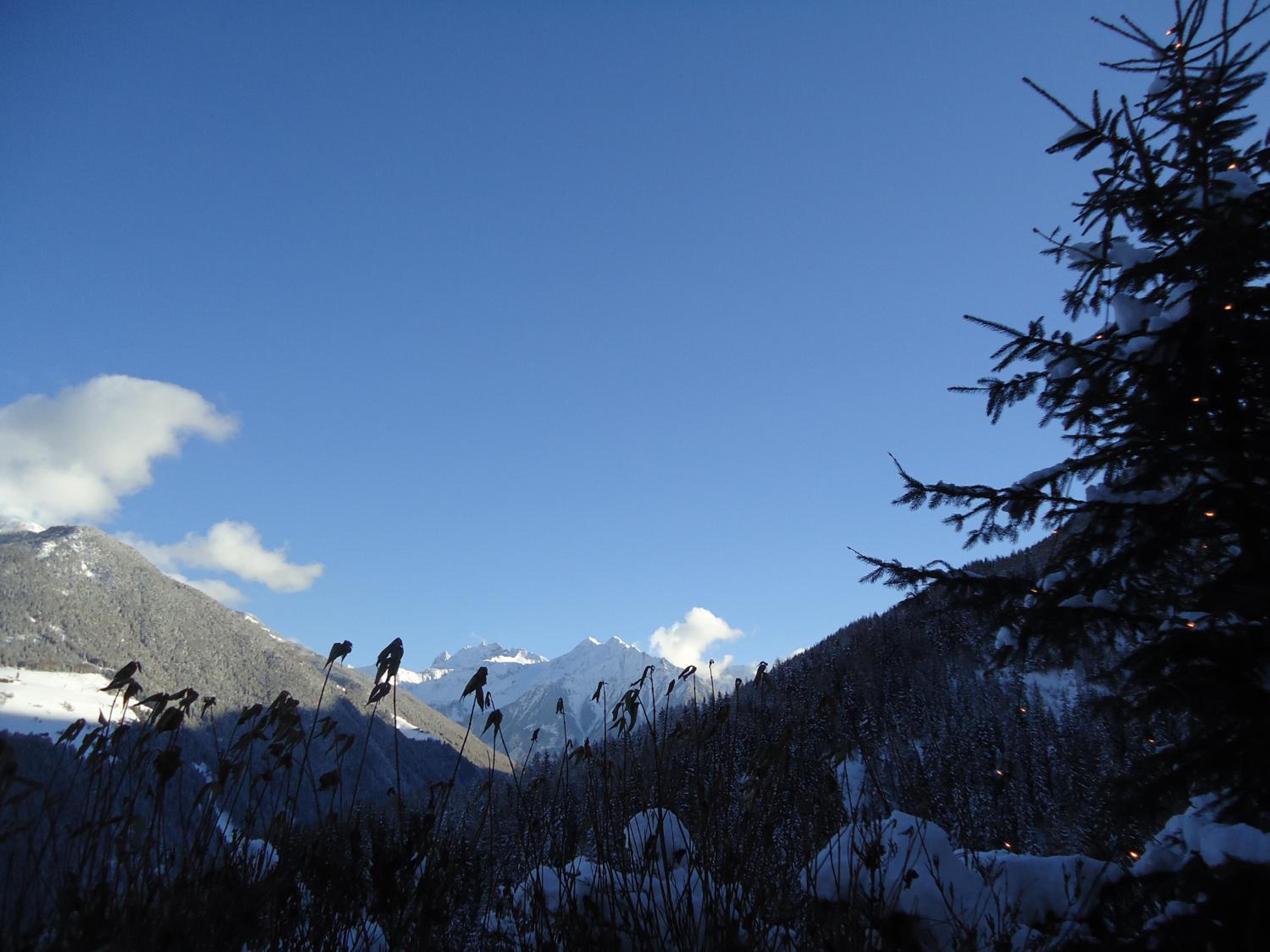 Oberschoellberghof view 4