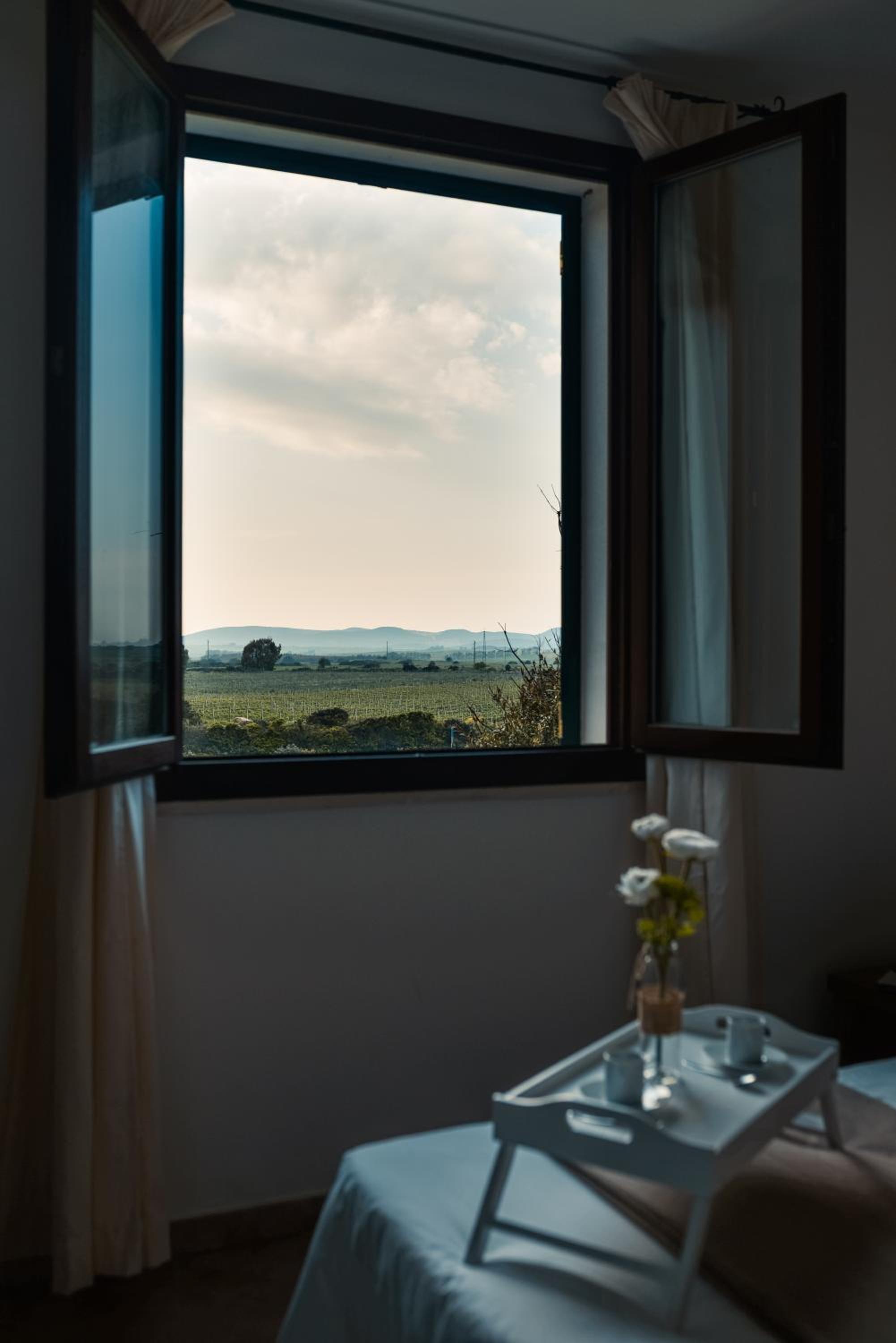 Tenute Delogu Wine Resort - Alghero view 5