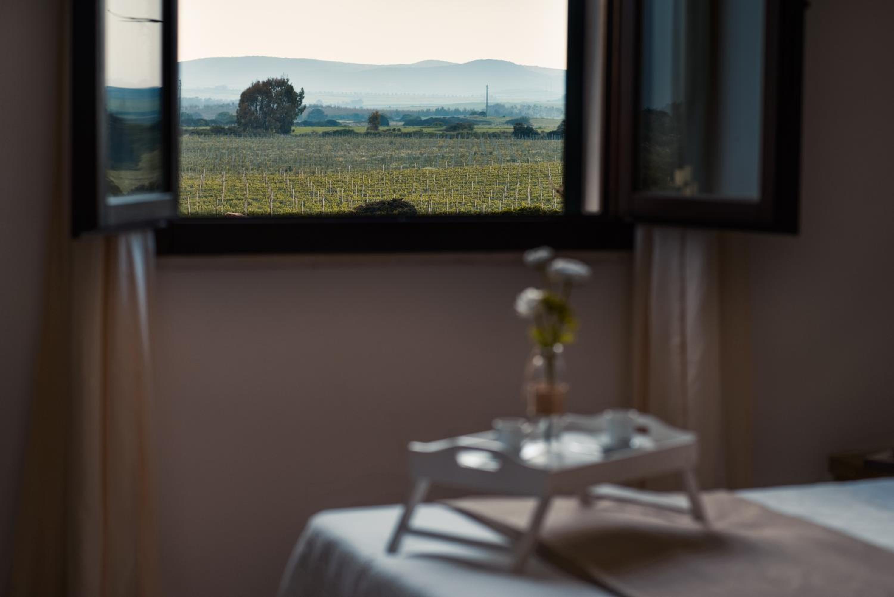 Tenute Delogu Wine Resort - Alghero view 3