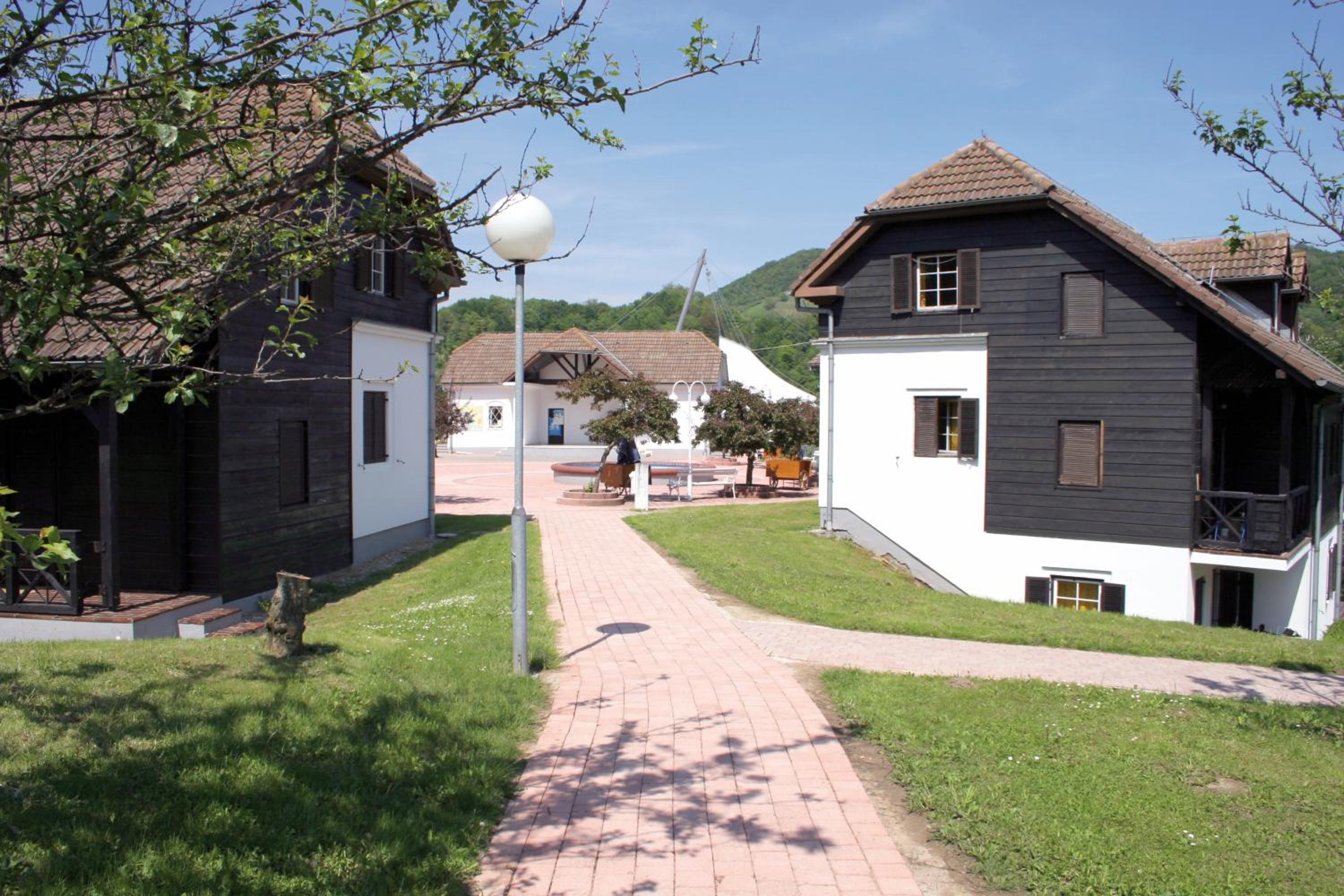 Photo 41