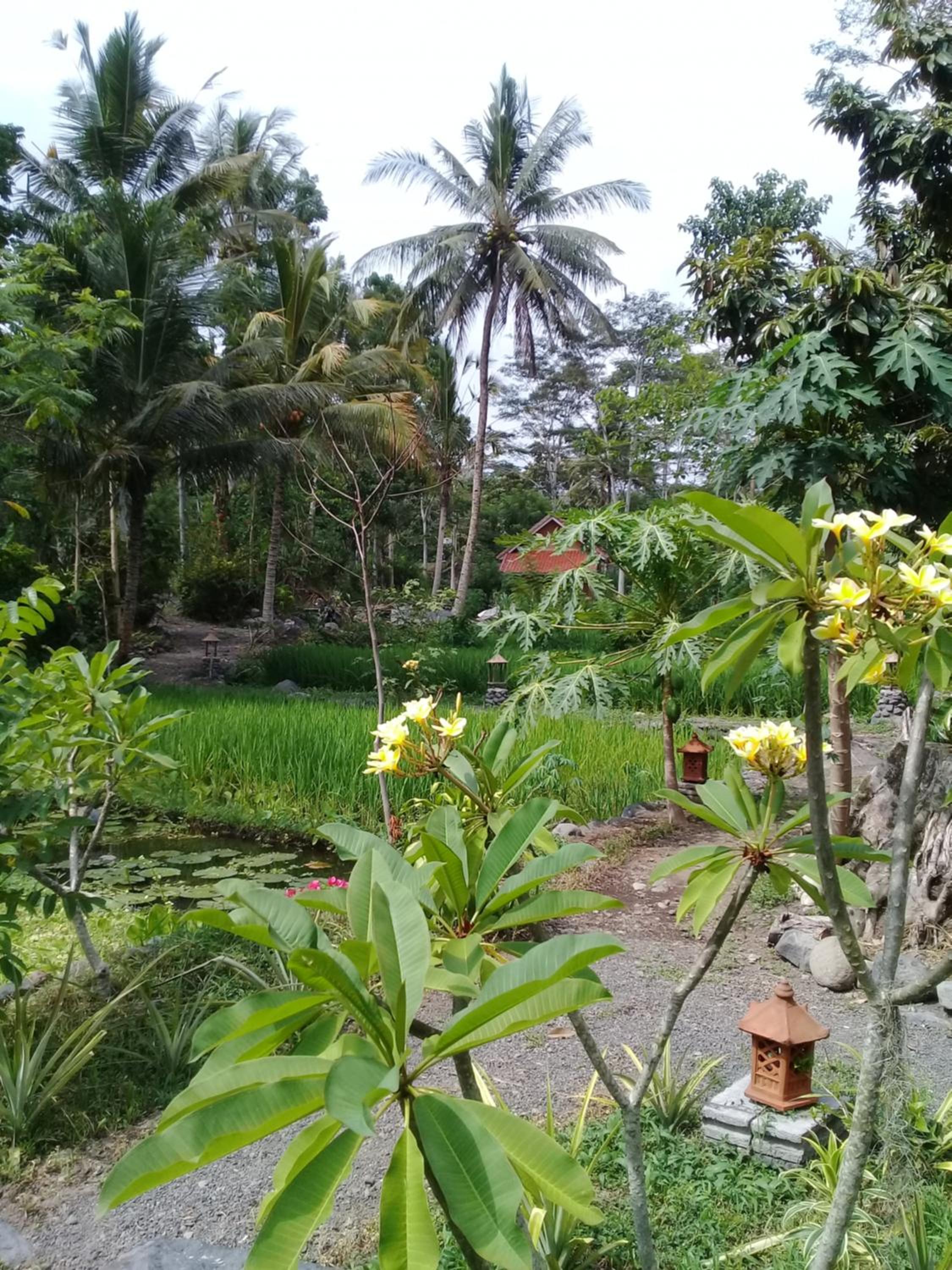 Loka Amertha view 2