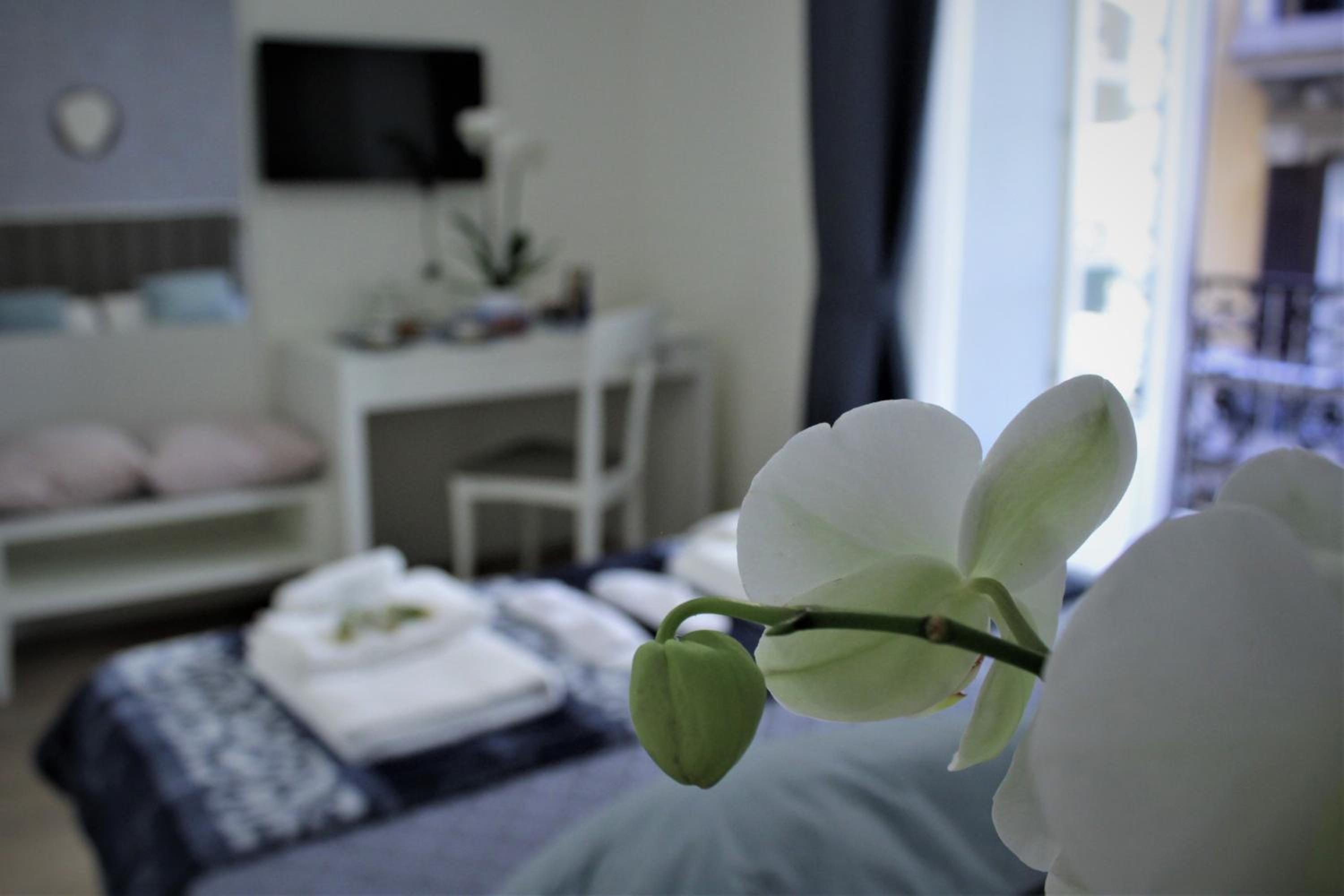 Napoli Mariana Luxury