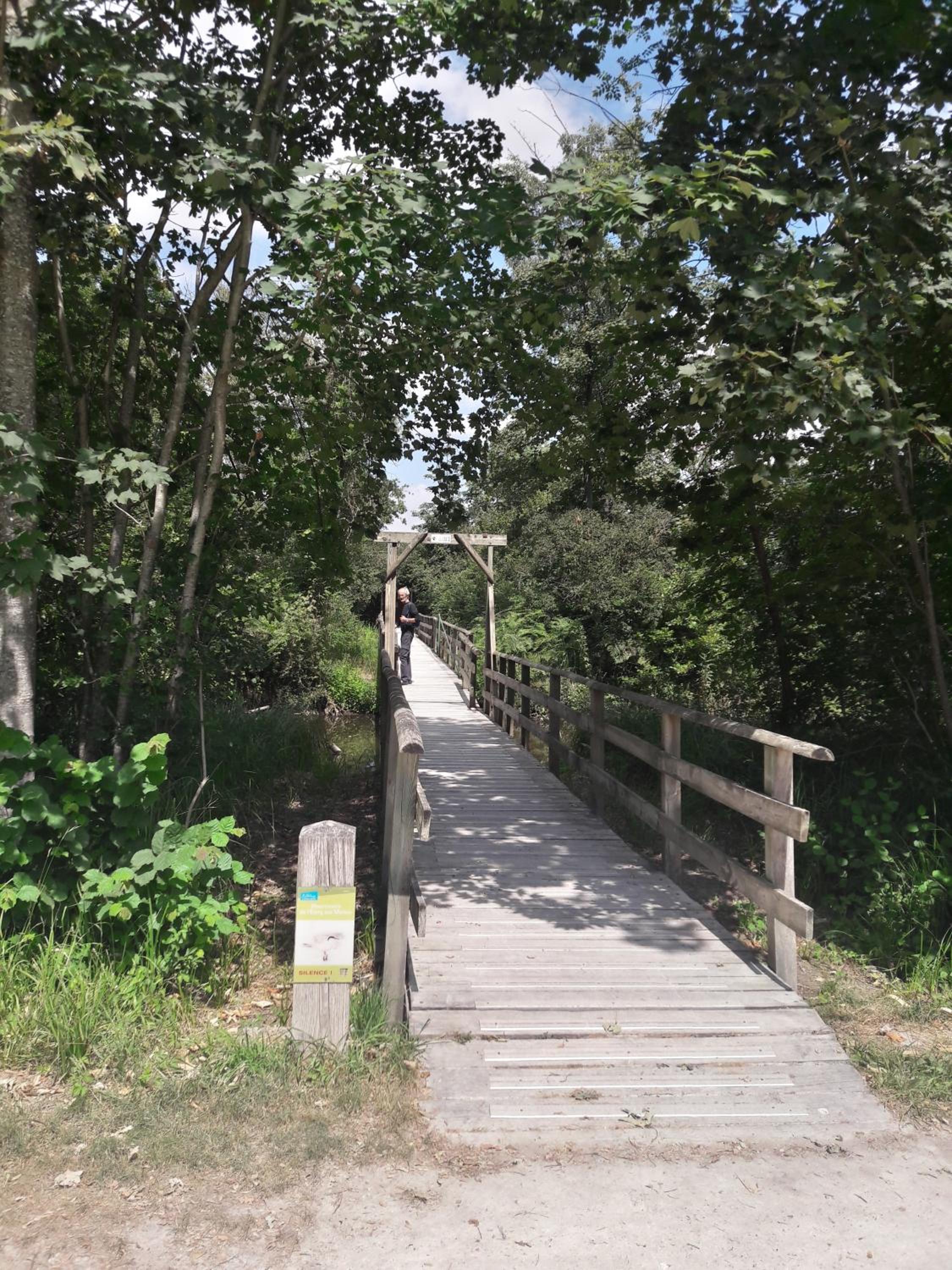 Photo 33