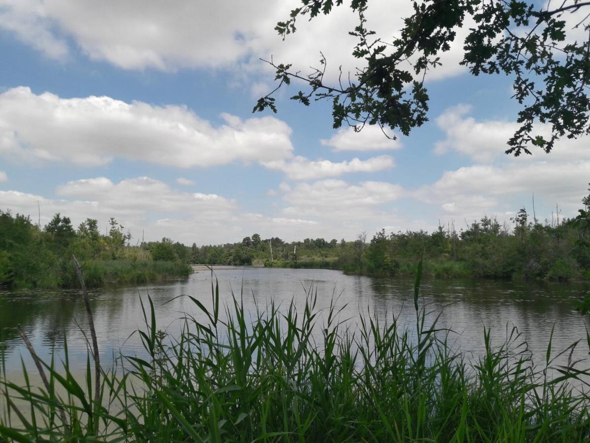 Photo 24