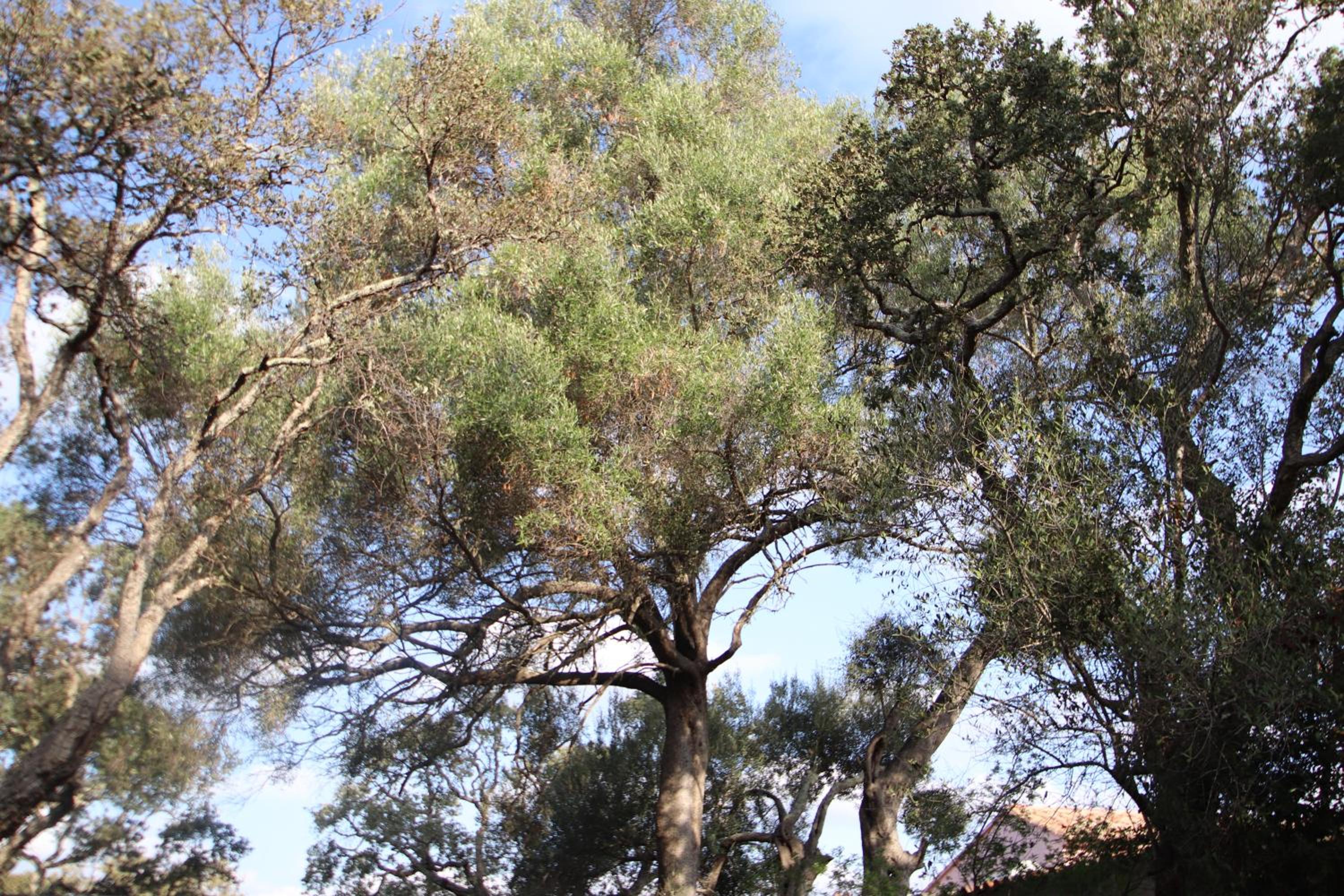 Photo 40