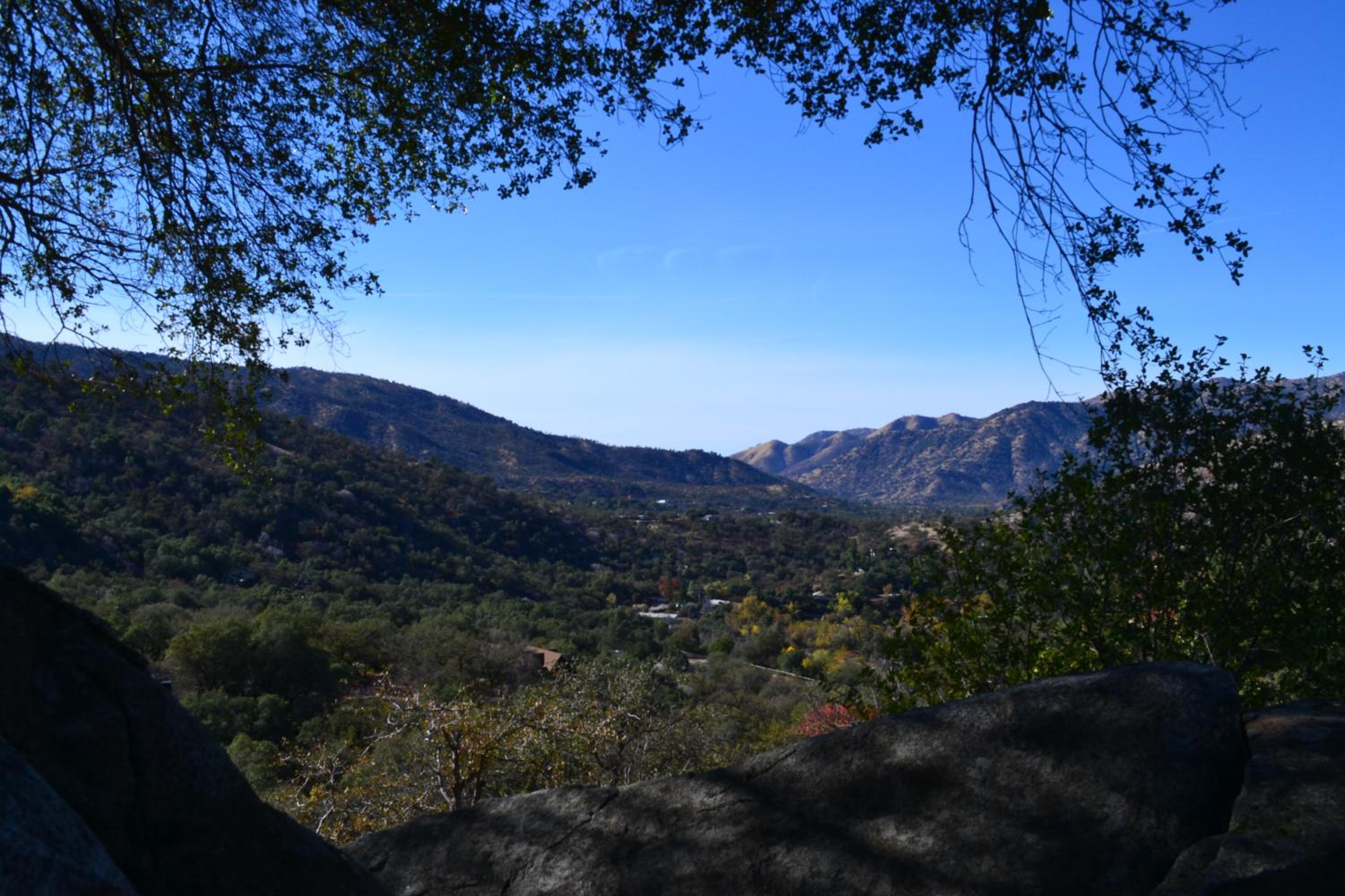Shady Knoll view 5