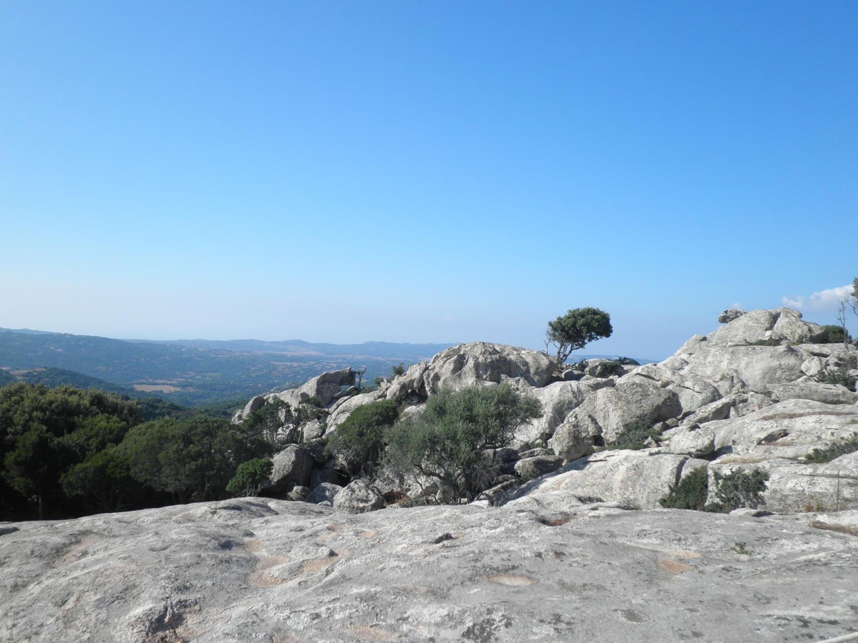 Photo 48