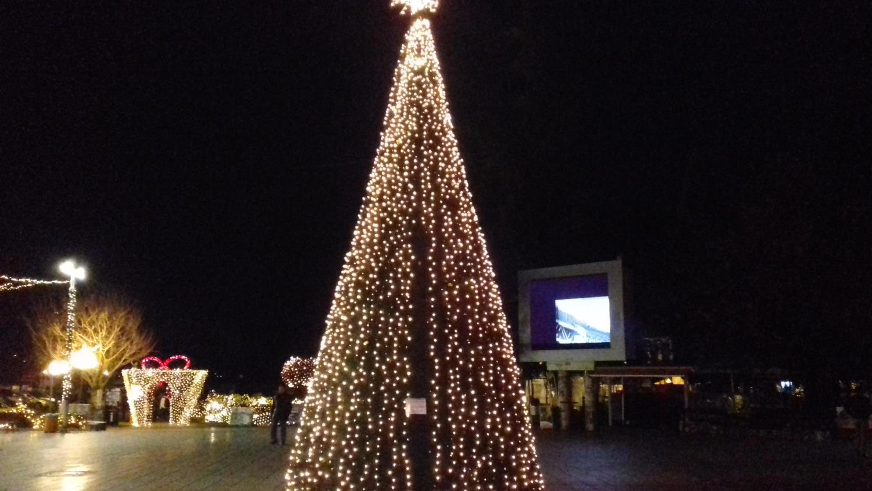 Photo 40