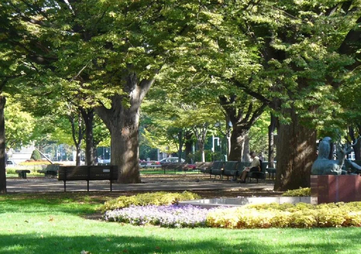 children's play area