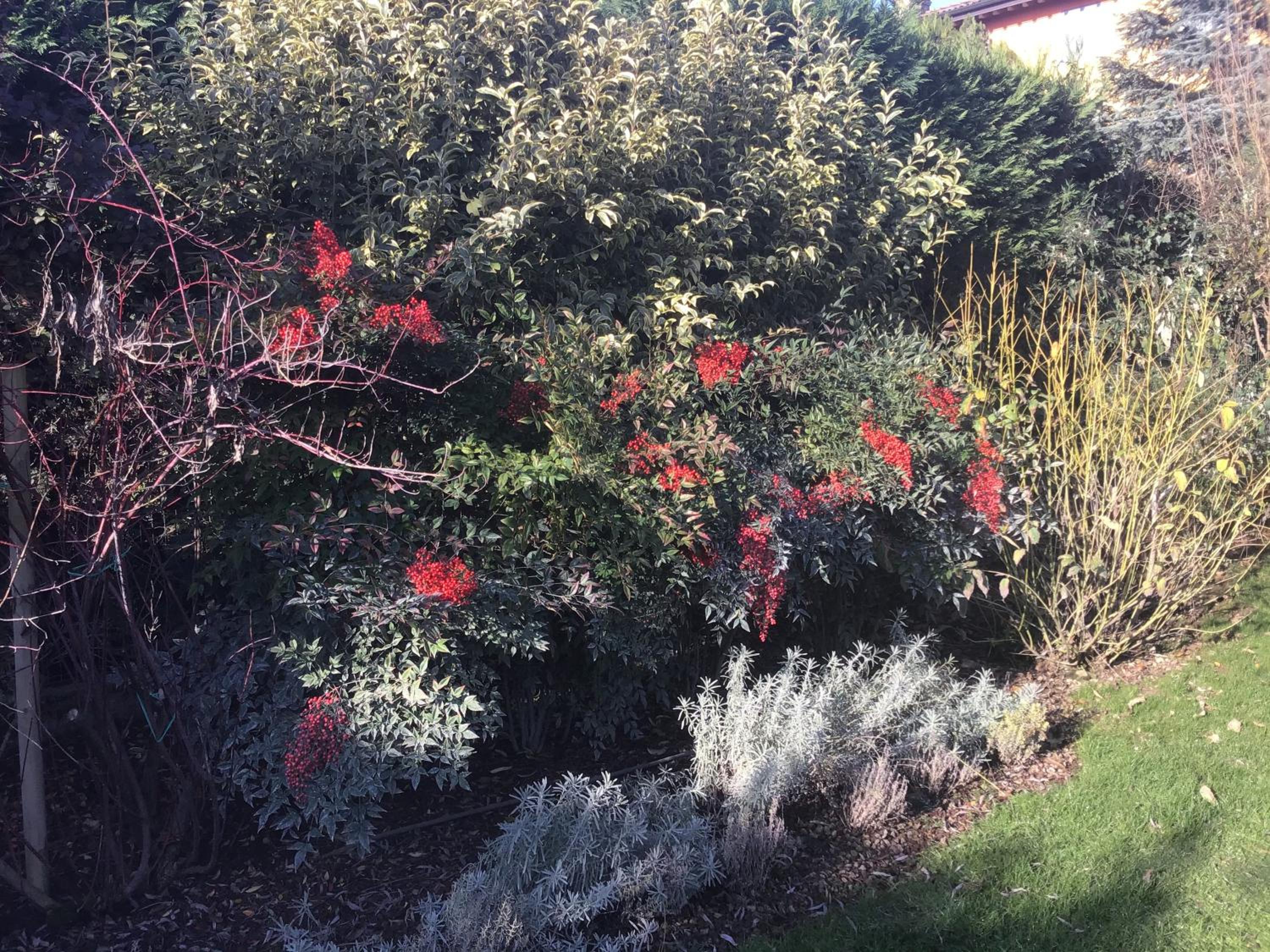 Photo 14
