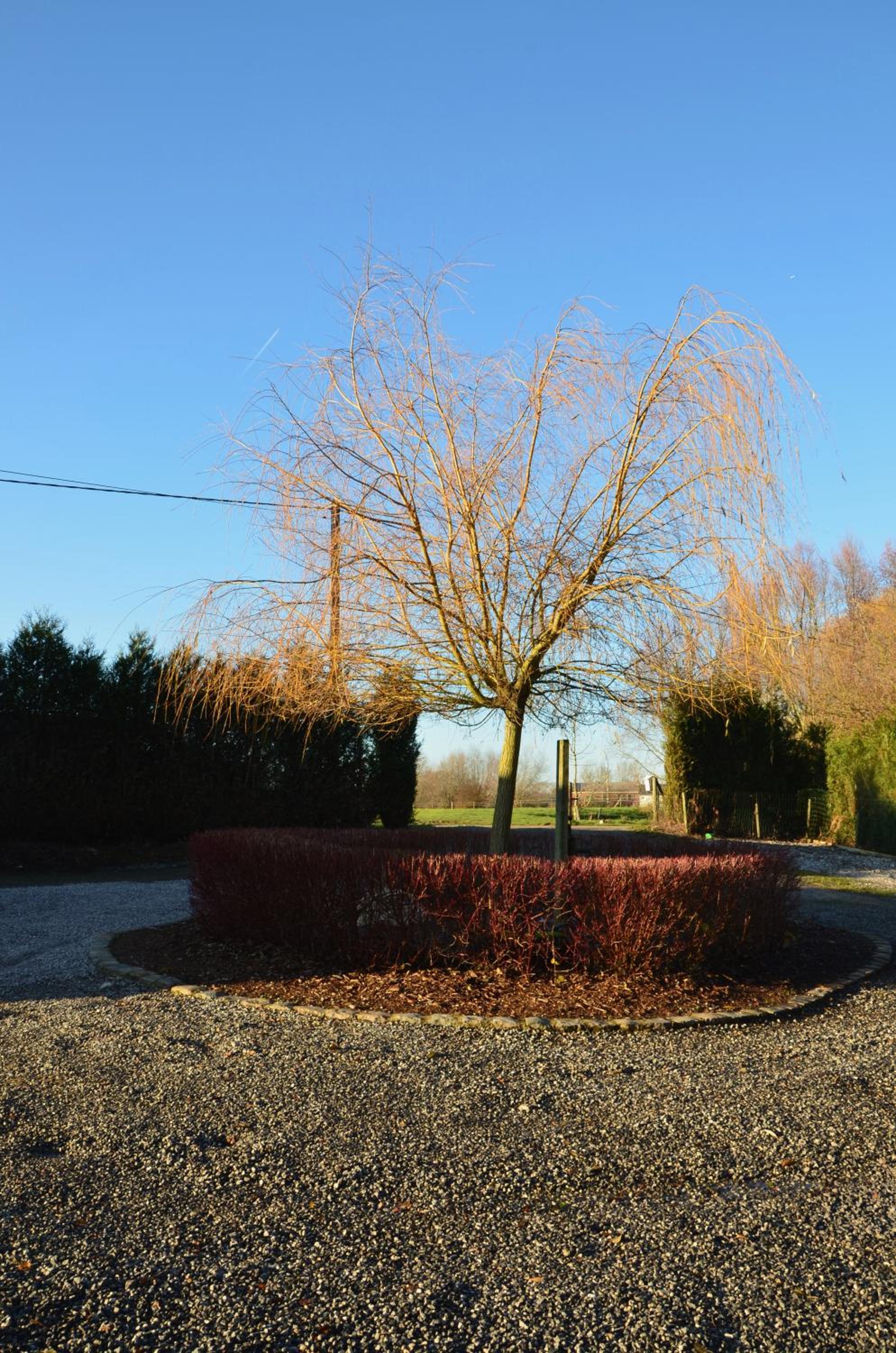 Charmes d'hôtes