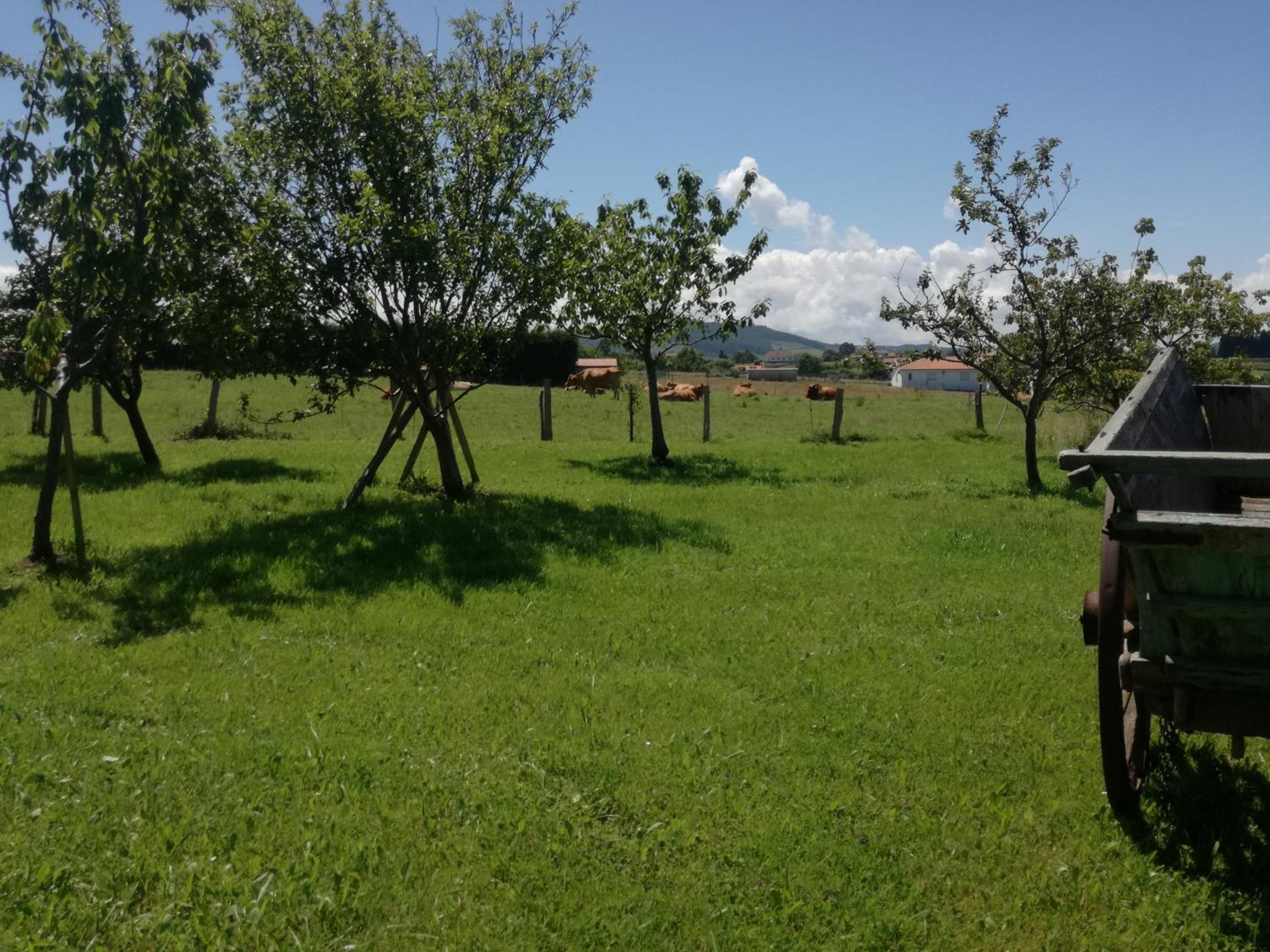 Photo 27