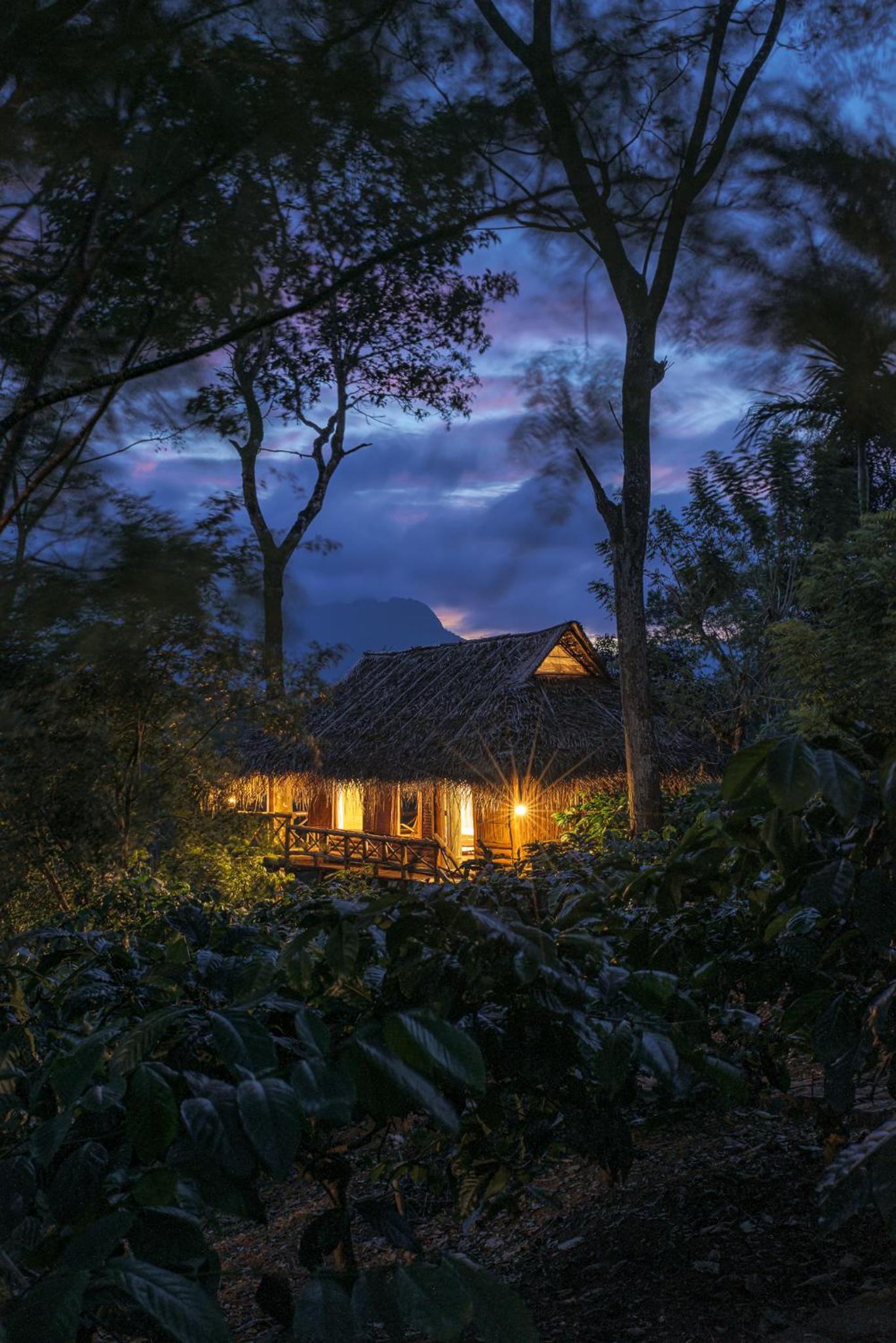 Aranyakam Home Stay view 2