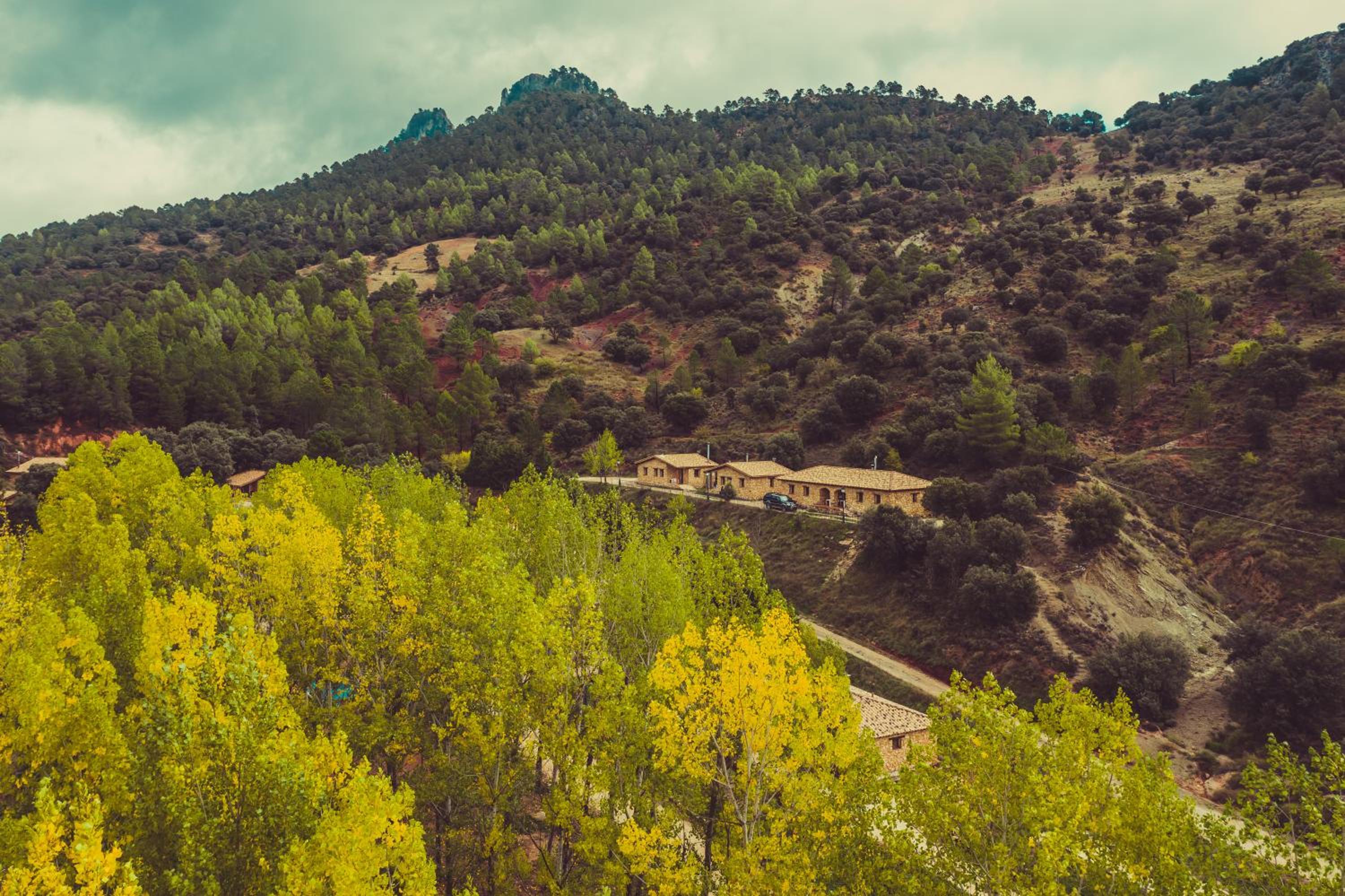 CABAÑAS RIO MUNDO