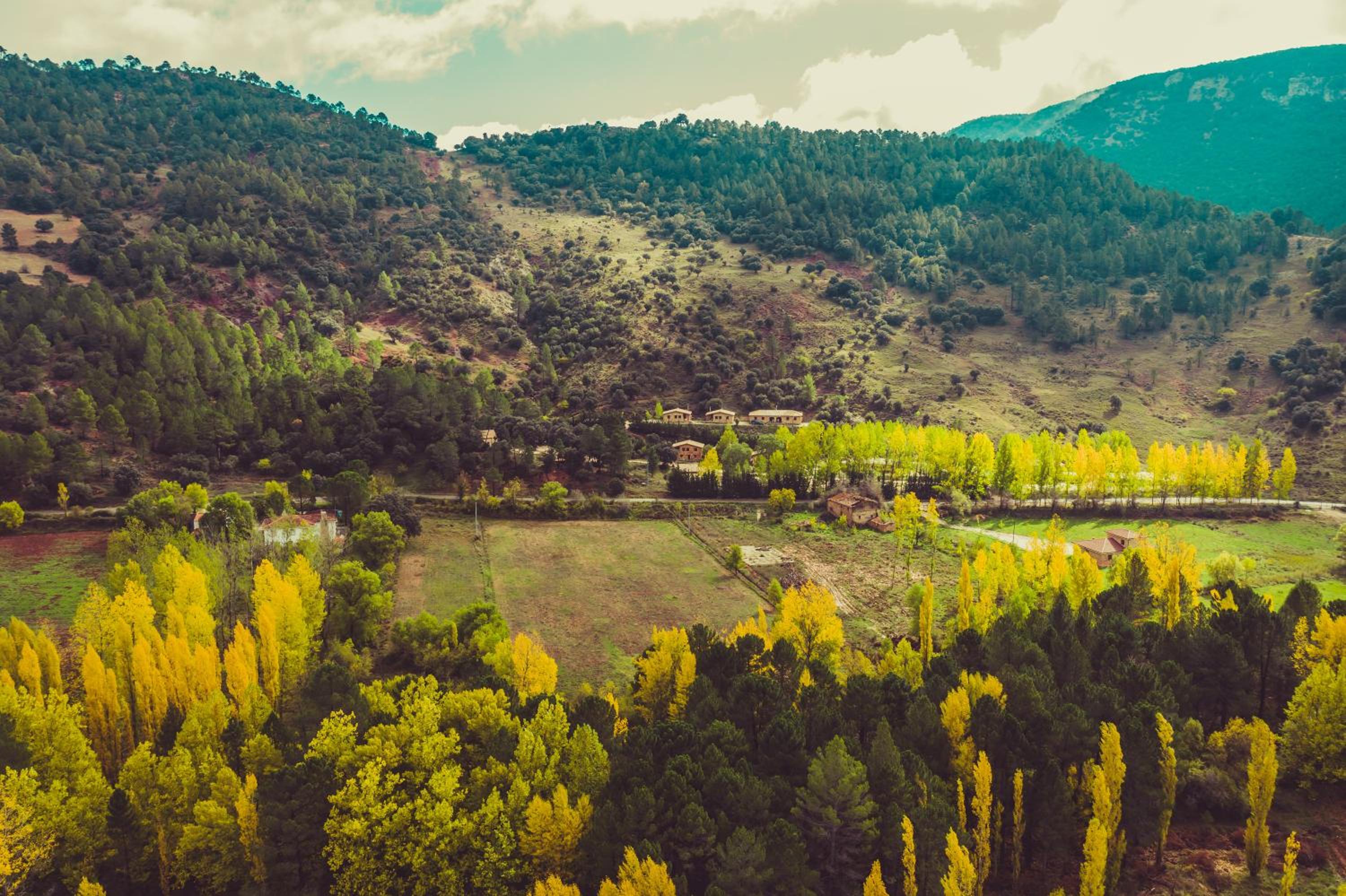 CABAÑAS RIO MUNDO