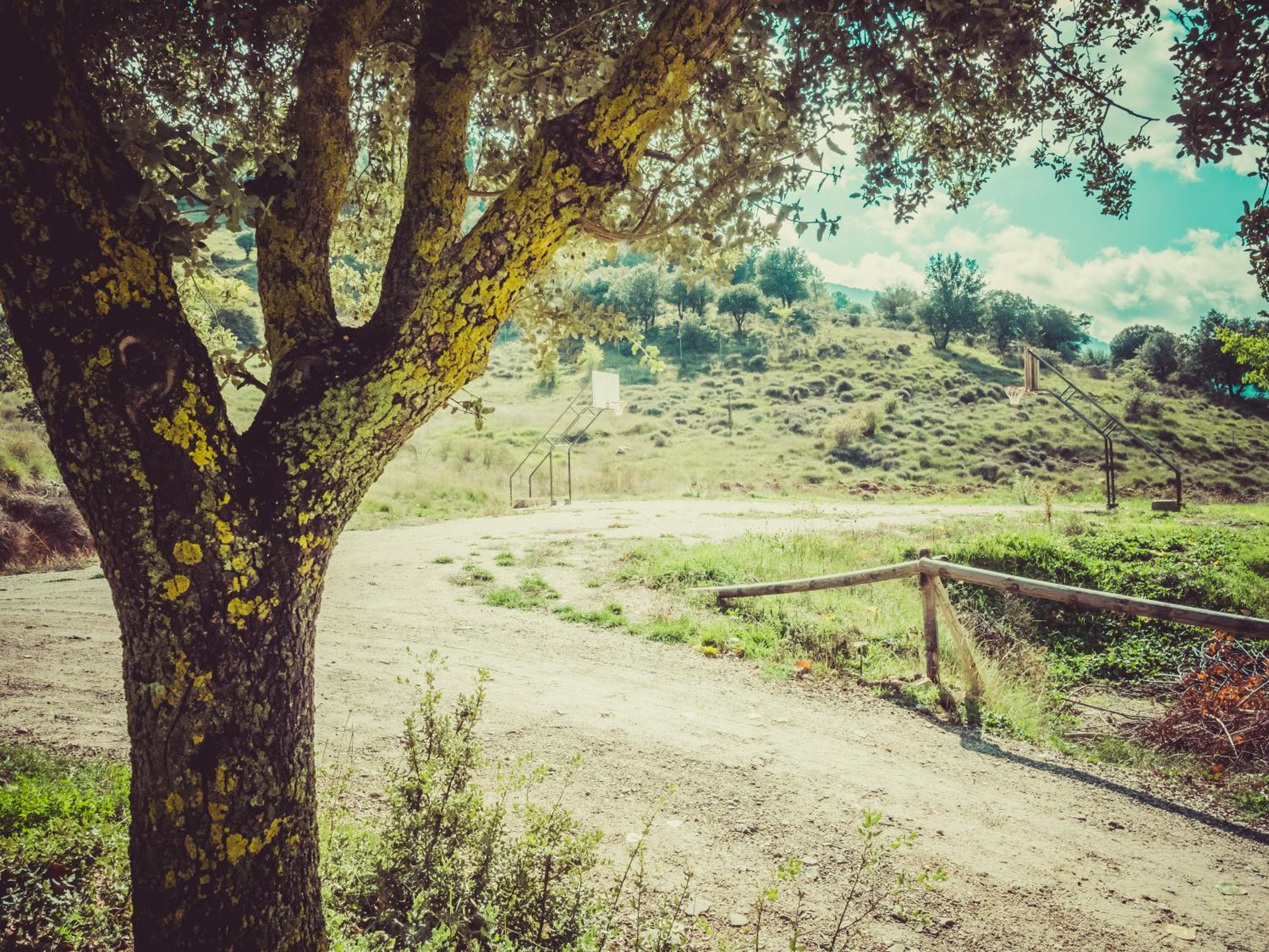 CABAÑAS RIO MUNDO