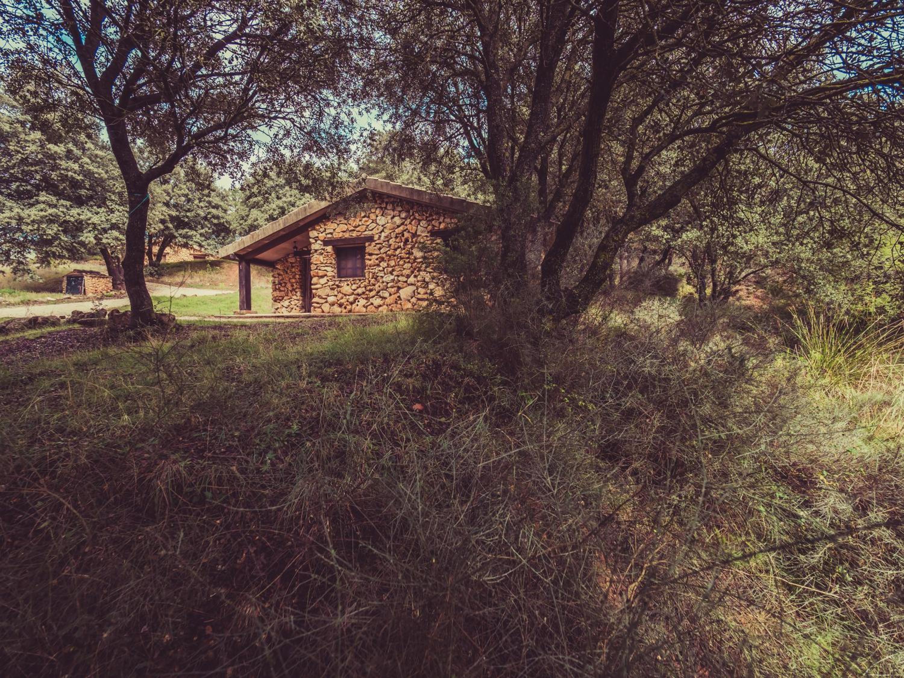 CABAÑAS RIO MUNDO