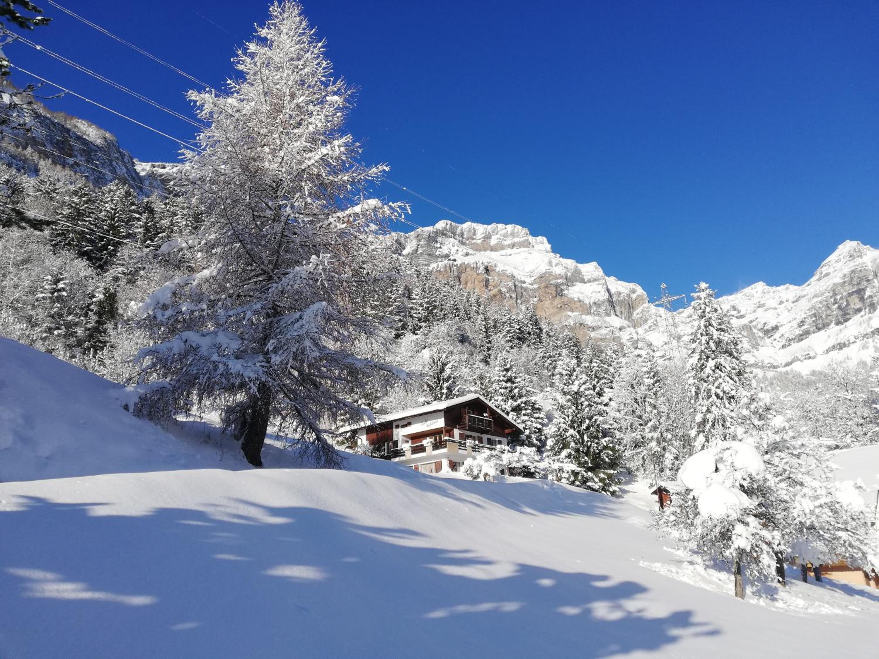 Chalet Waldrand view 2