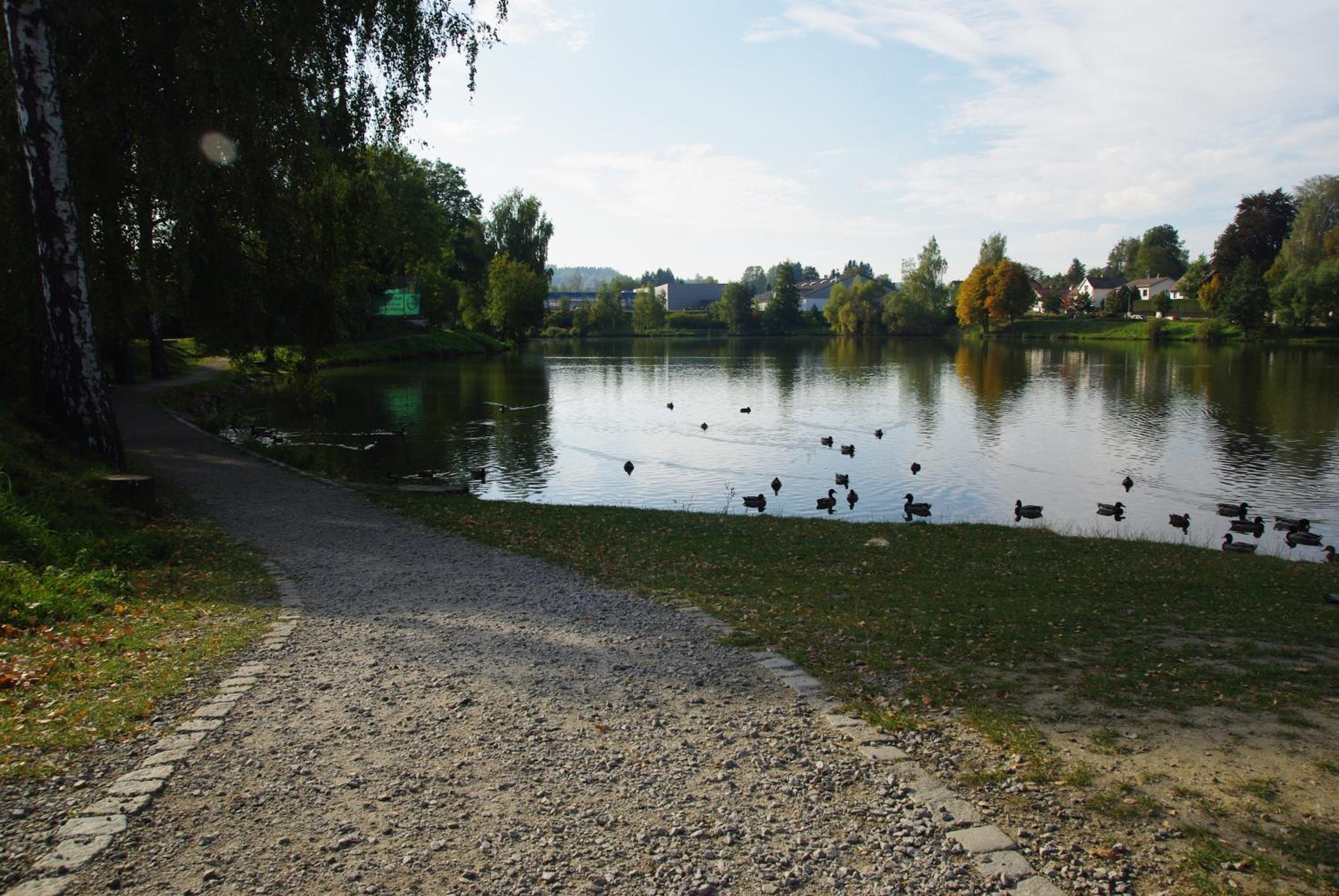 Photo 69