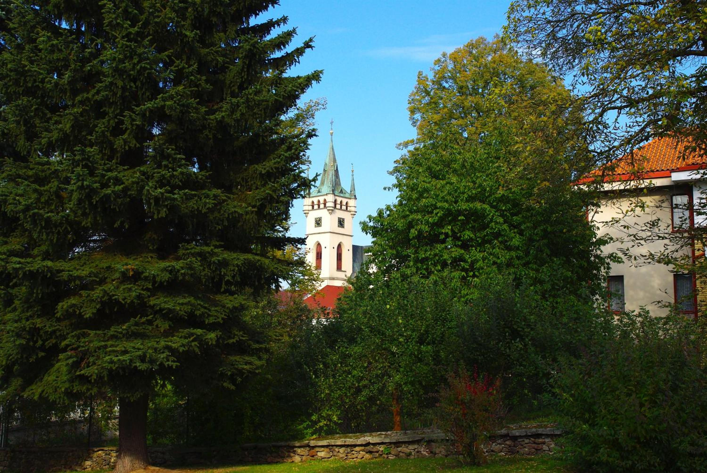 Photo 8