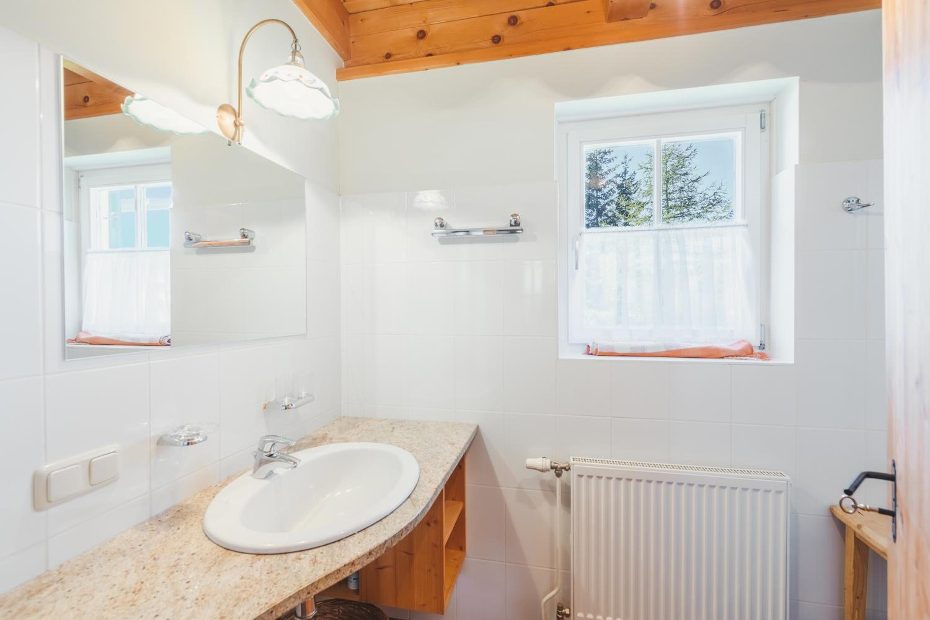 Alpine Cabin