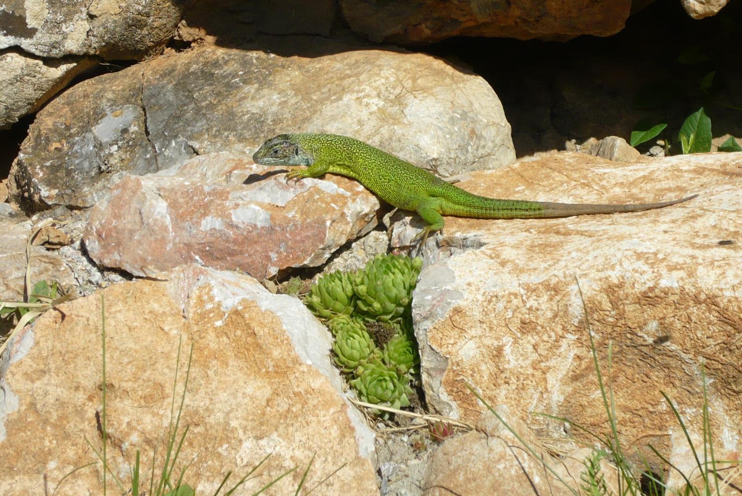 Photo 20