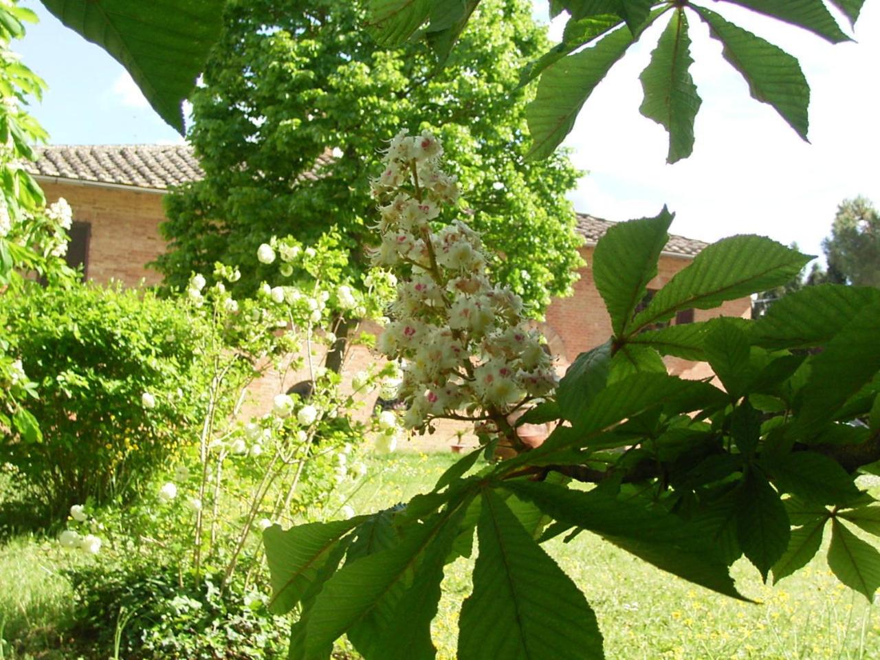 Villa Siena Bio Agriturismo private pool