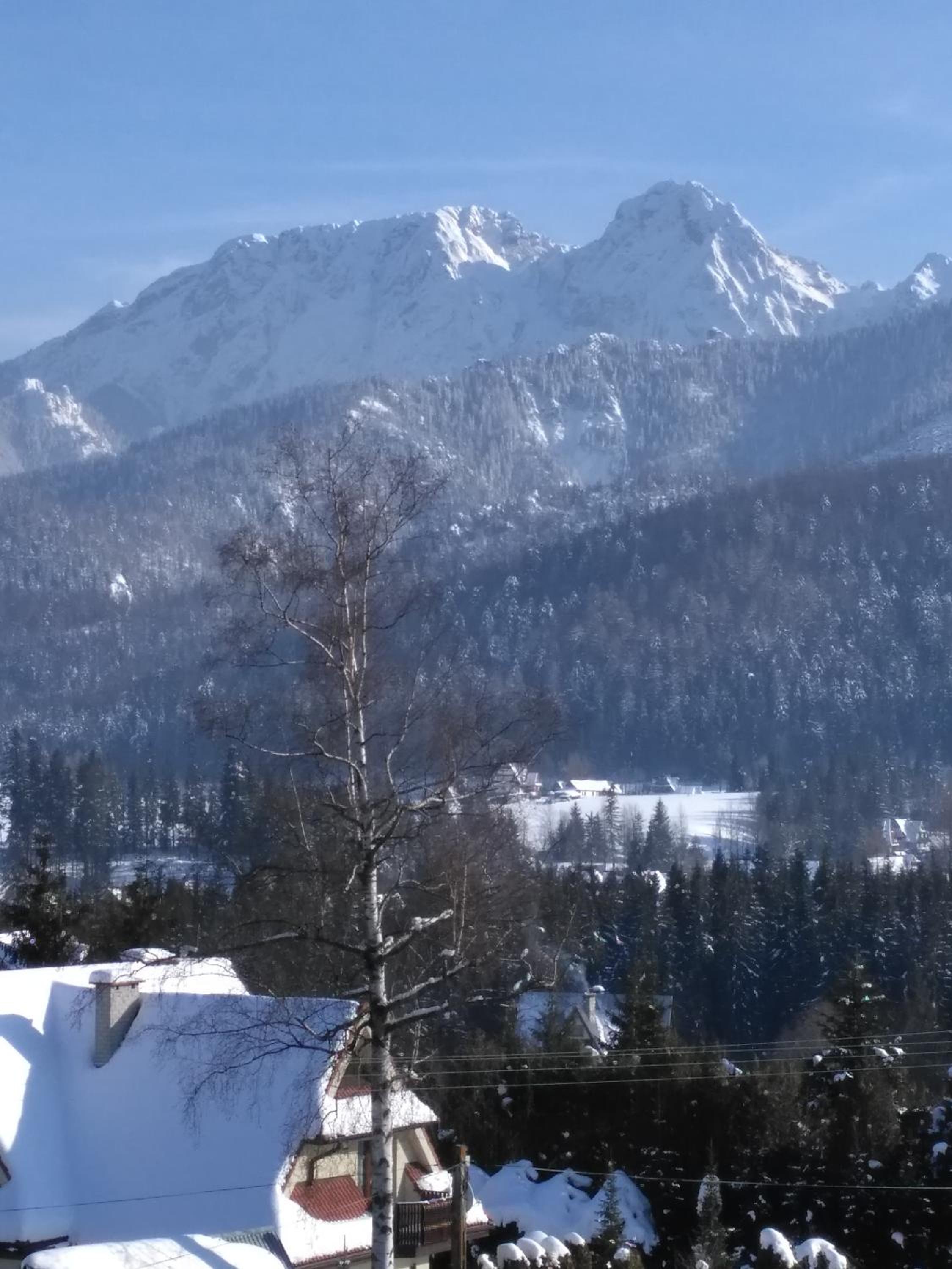 Apartament Słoneczny Zakopane view 4