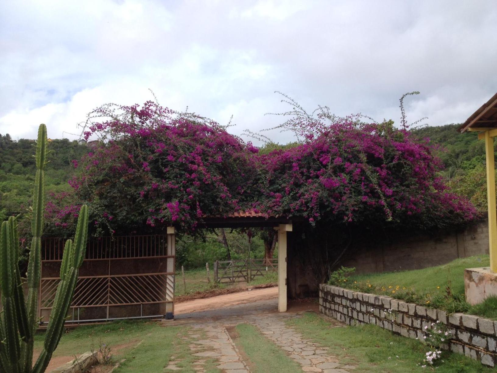 CASA DA MONTANHA na Chácara Paraíso