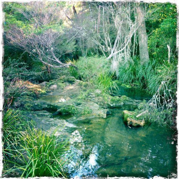 Twin Falls Bush Cottages