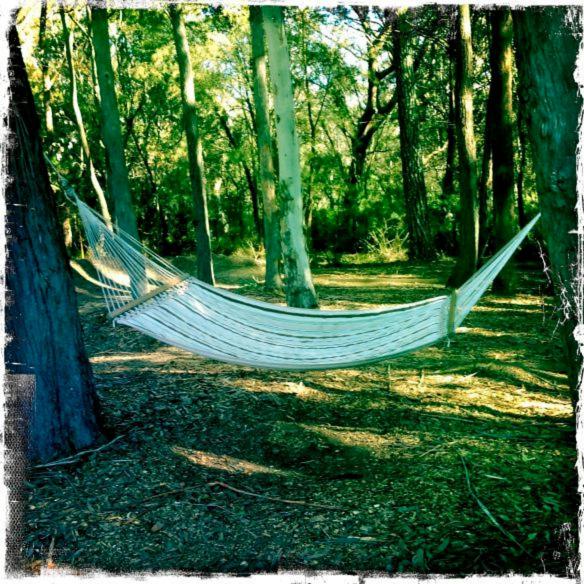 Twin Falls Bush Cottages