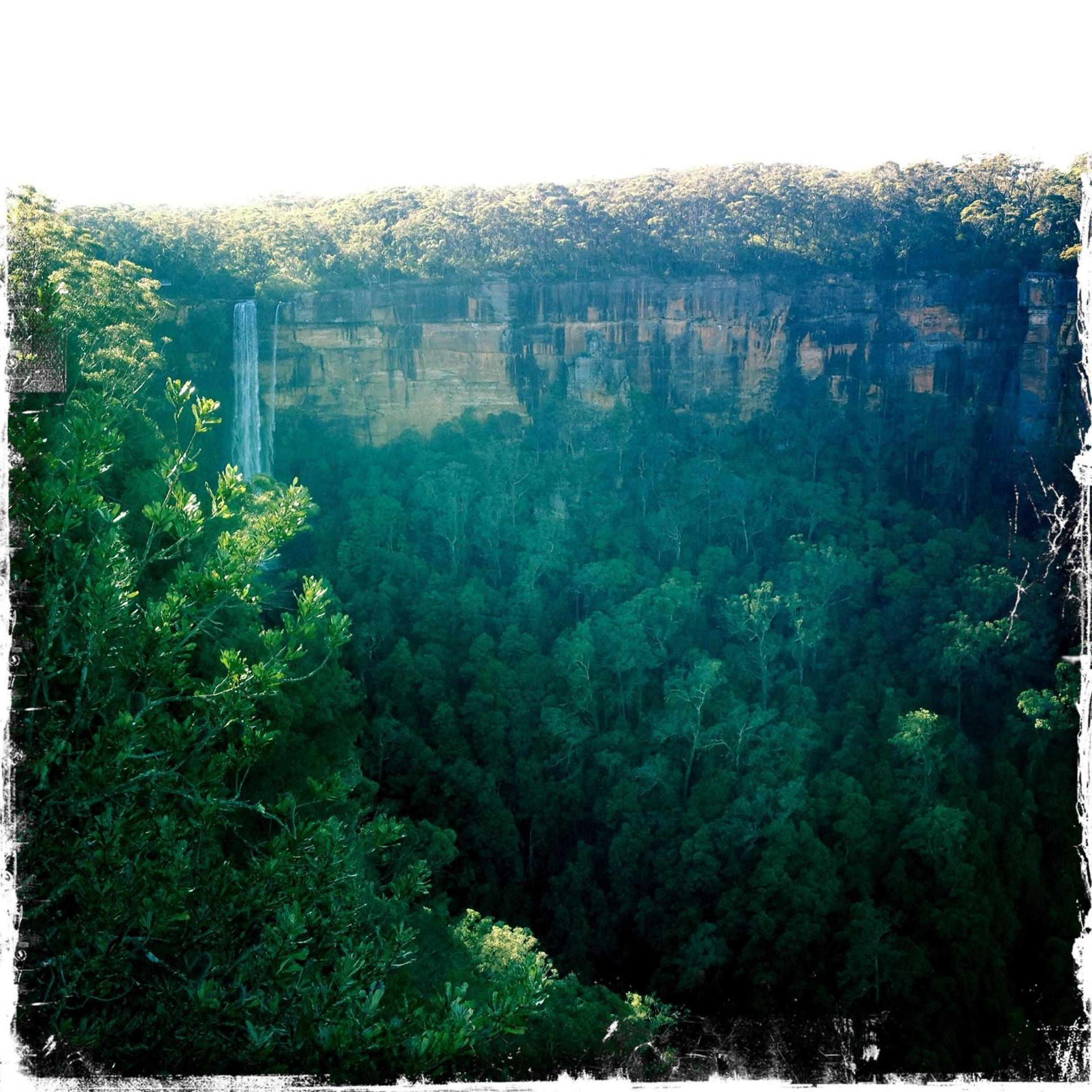 Twin Falls Bush Cottages