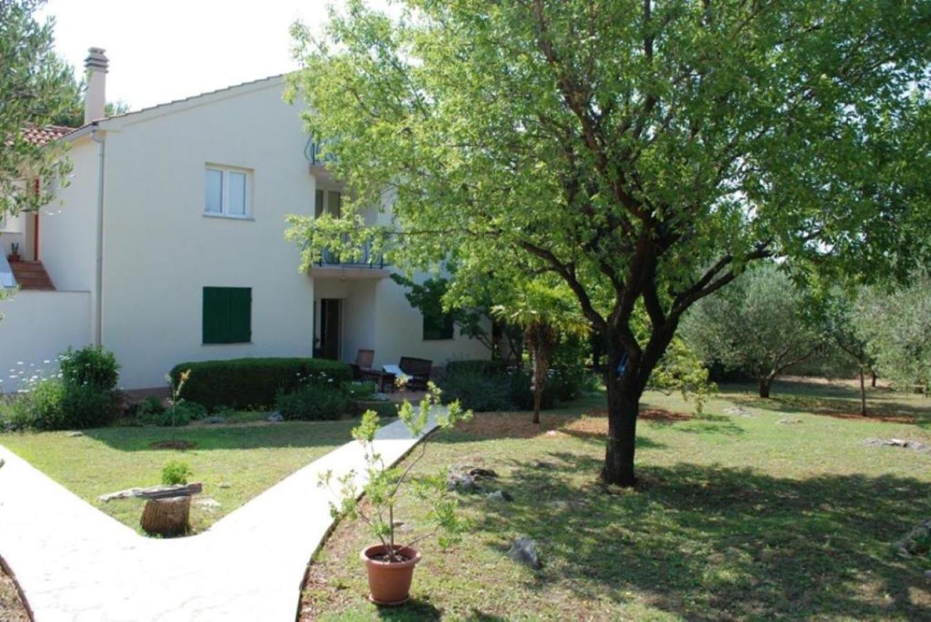 Apartments Skocic view 5