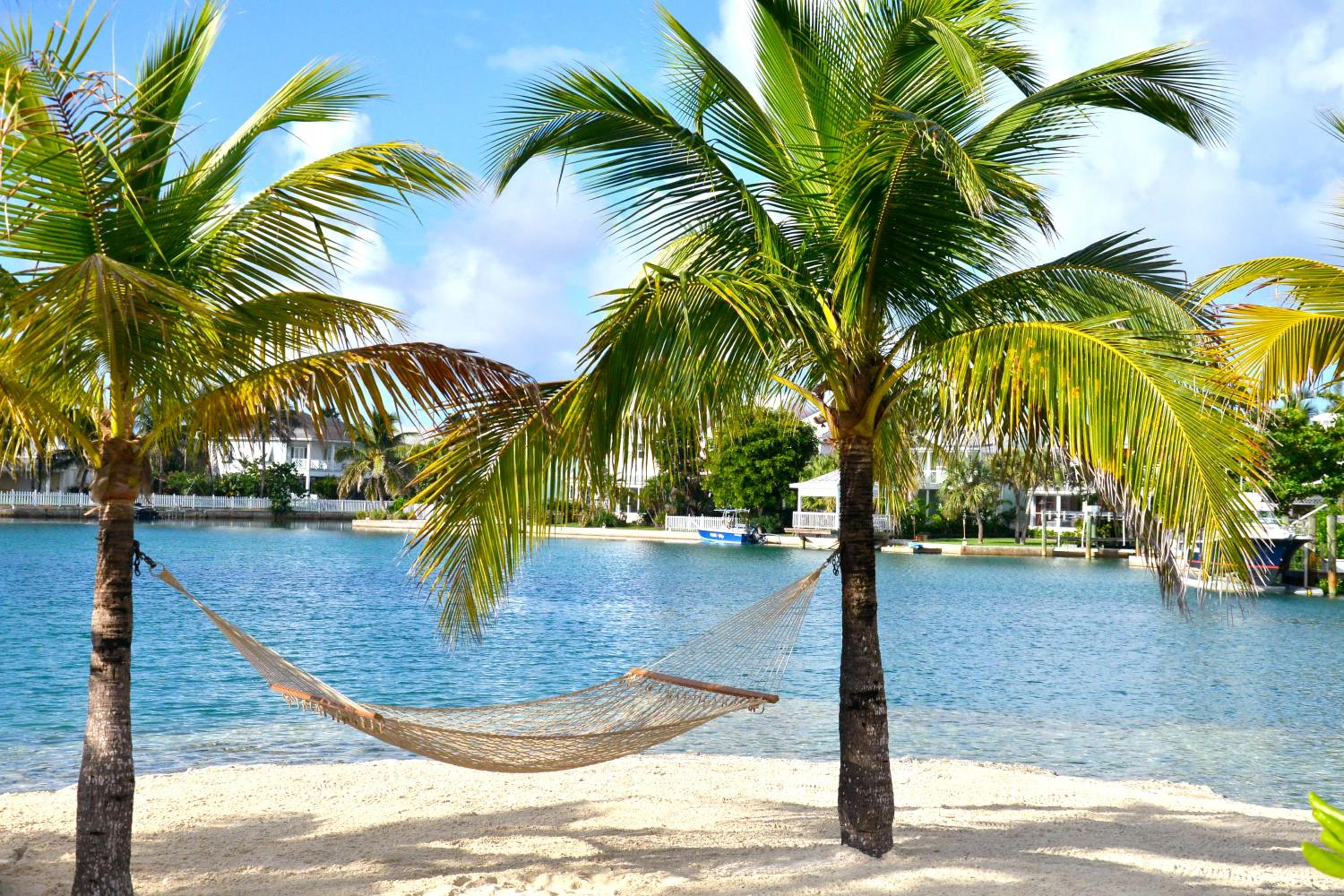 Photo 27 sur 58 de Sandyport Beach Resort