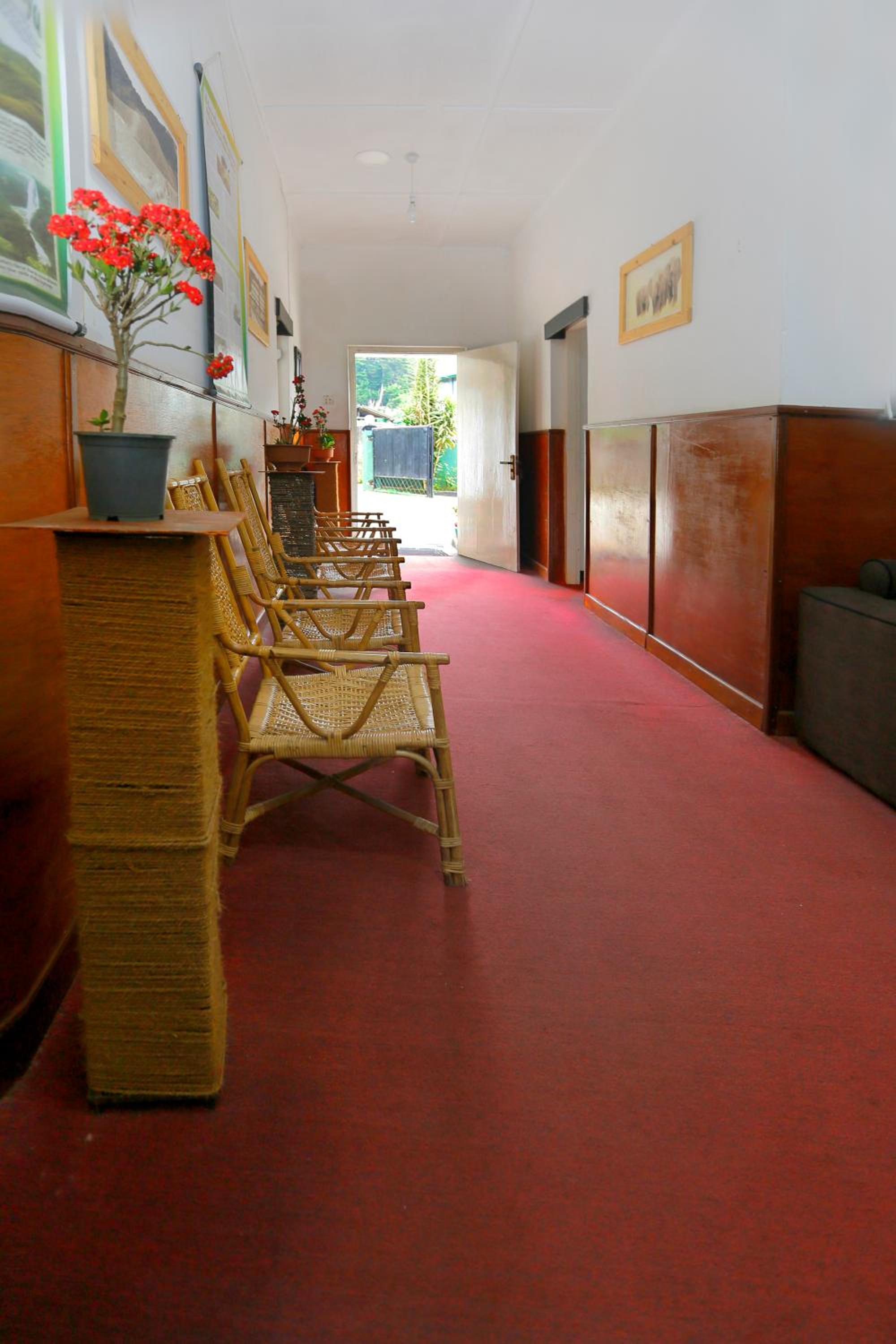 Photo 52