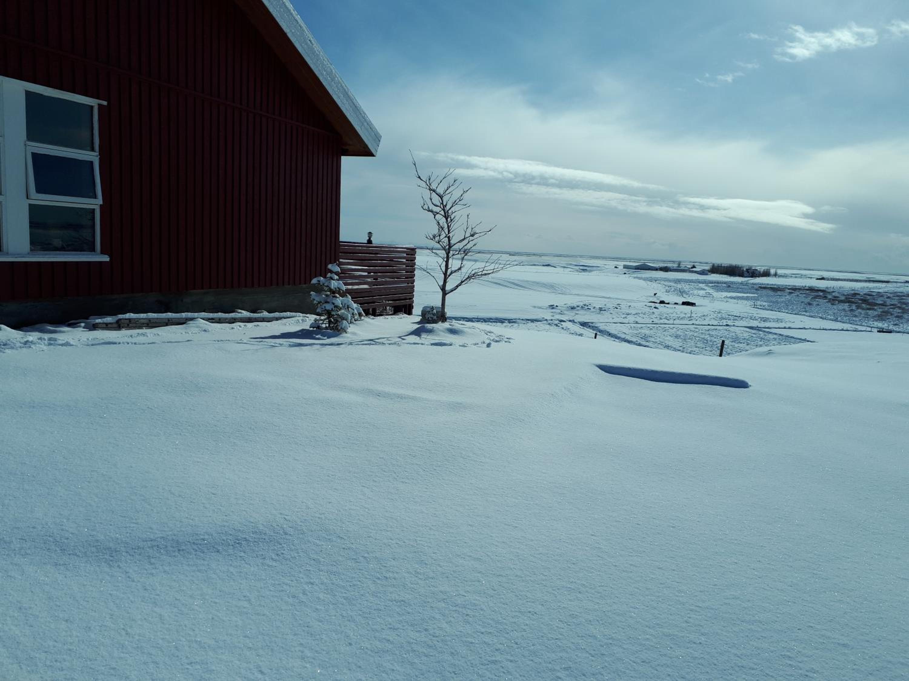 Photo 43
