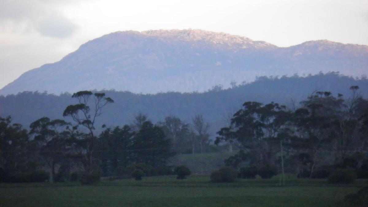 Photo 40