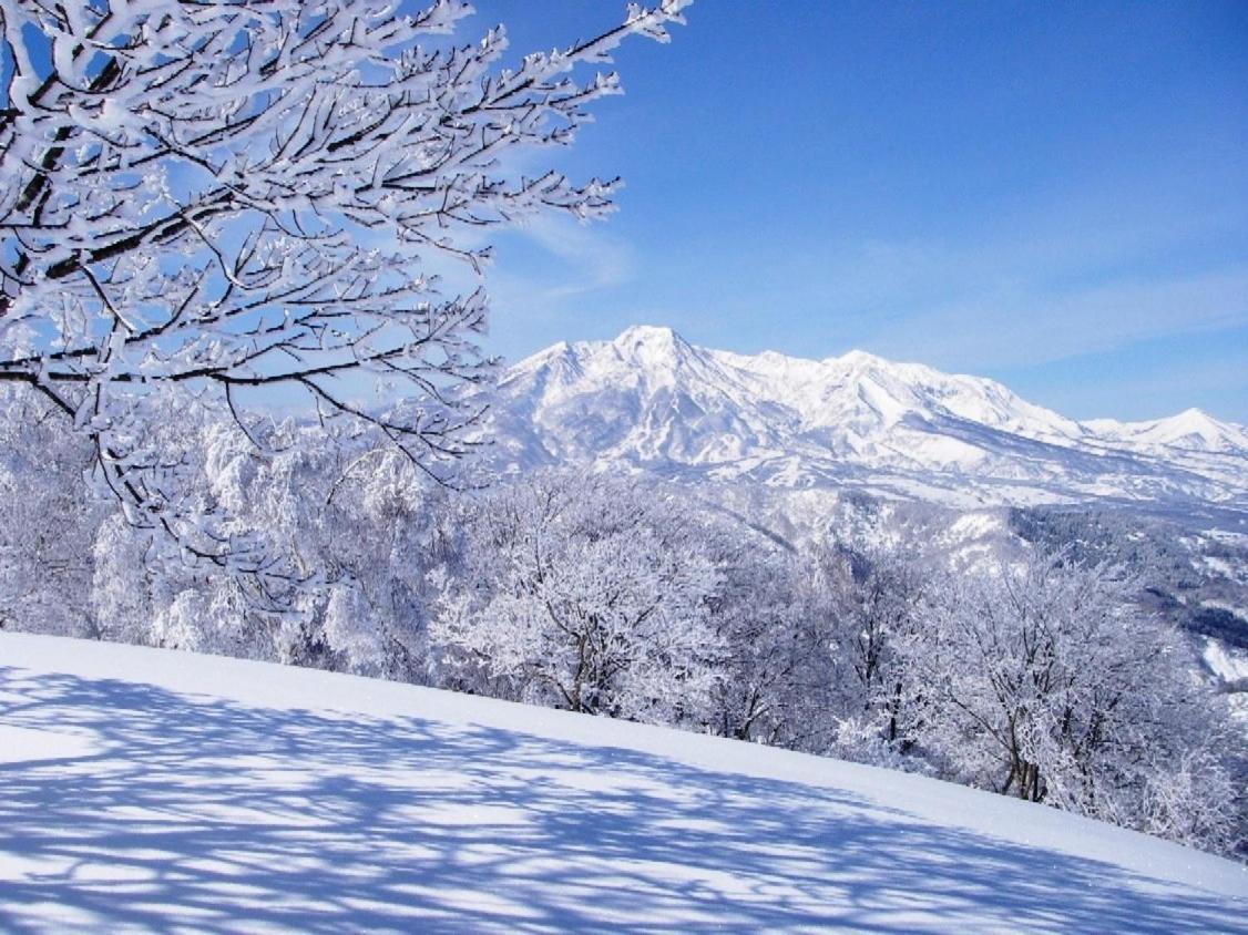 Madarao Elm Pension