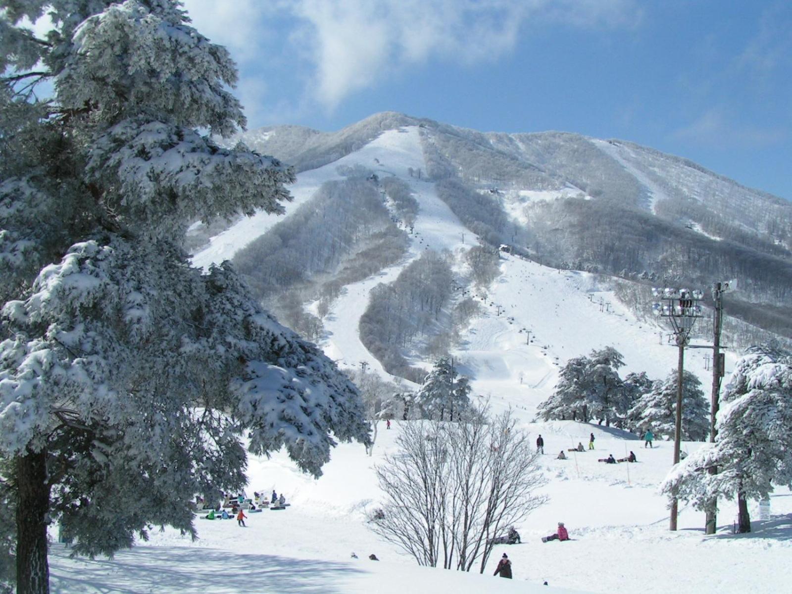 Madarao Elm Pension