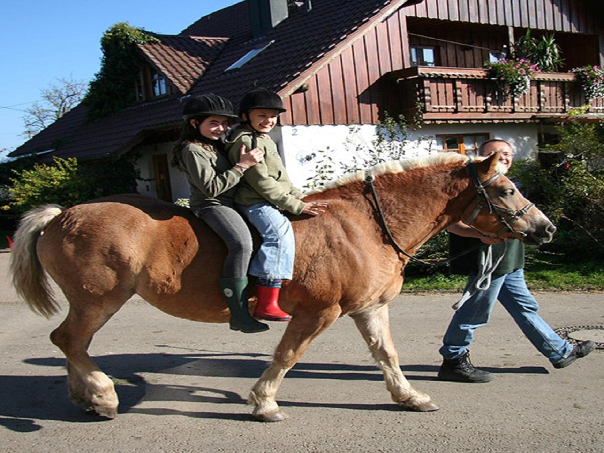 Photo 49