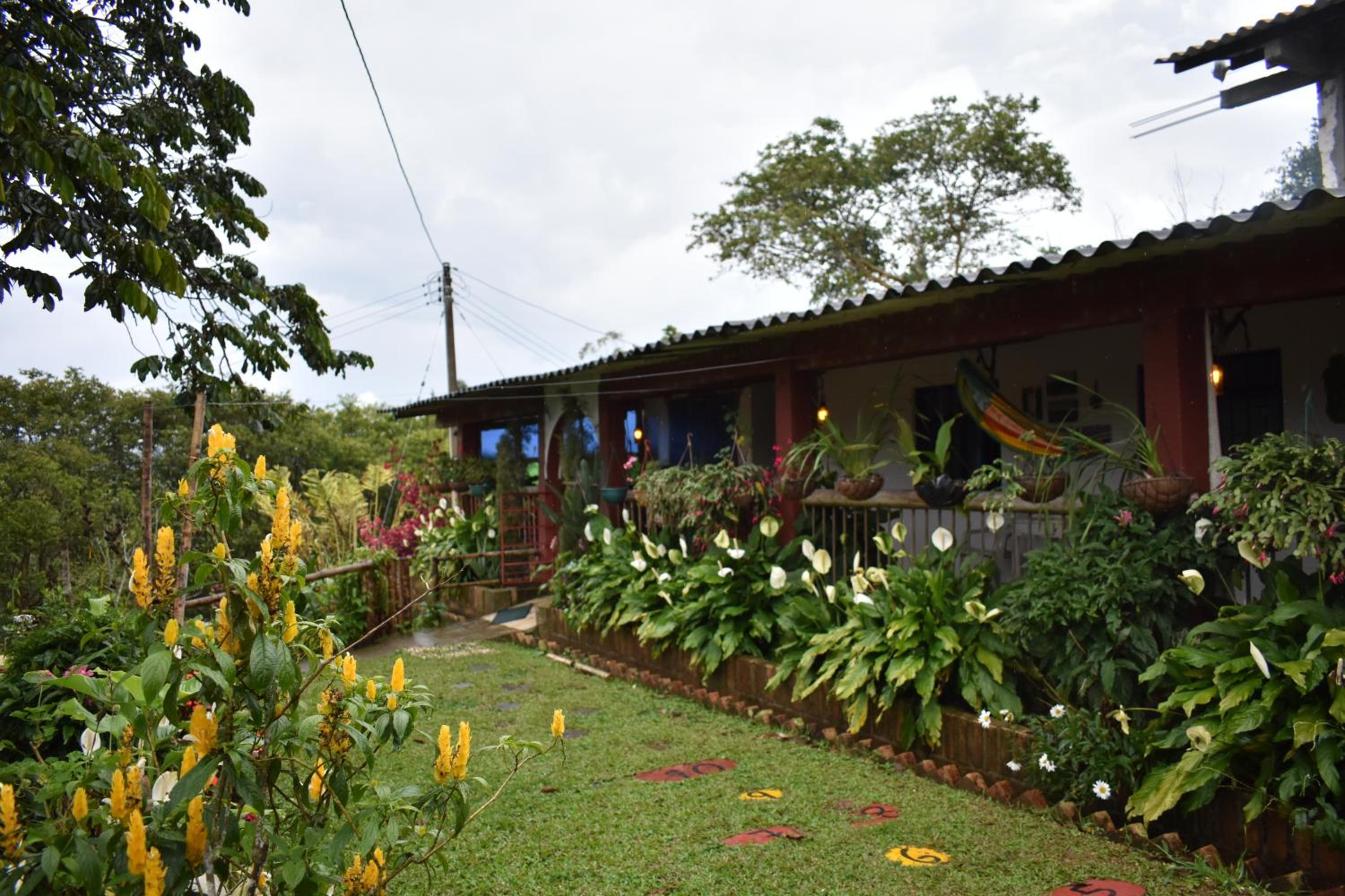 Green Hostal Popayan