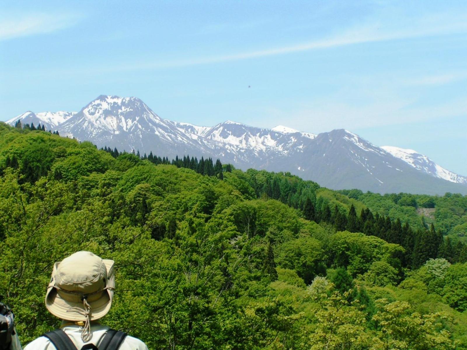 Madarao Elm Pension