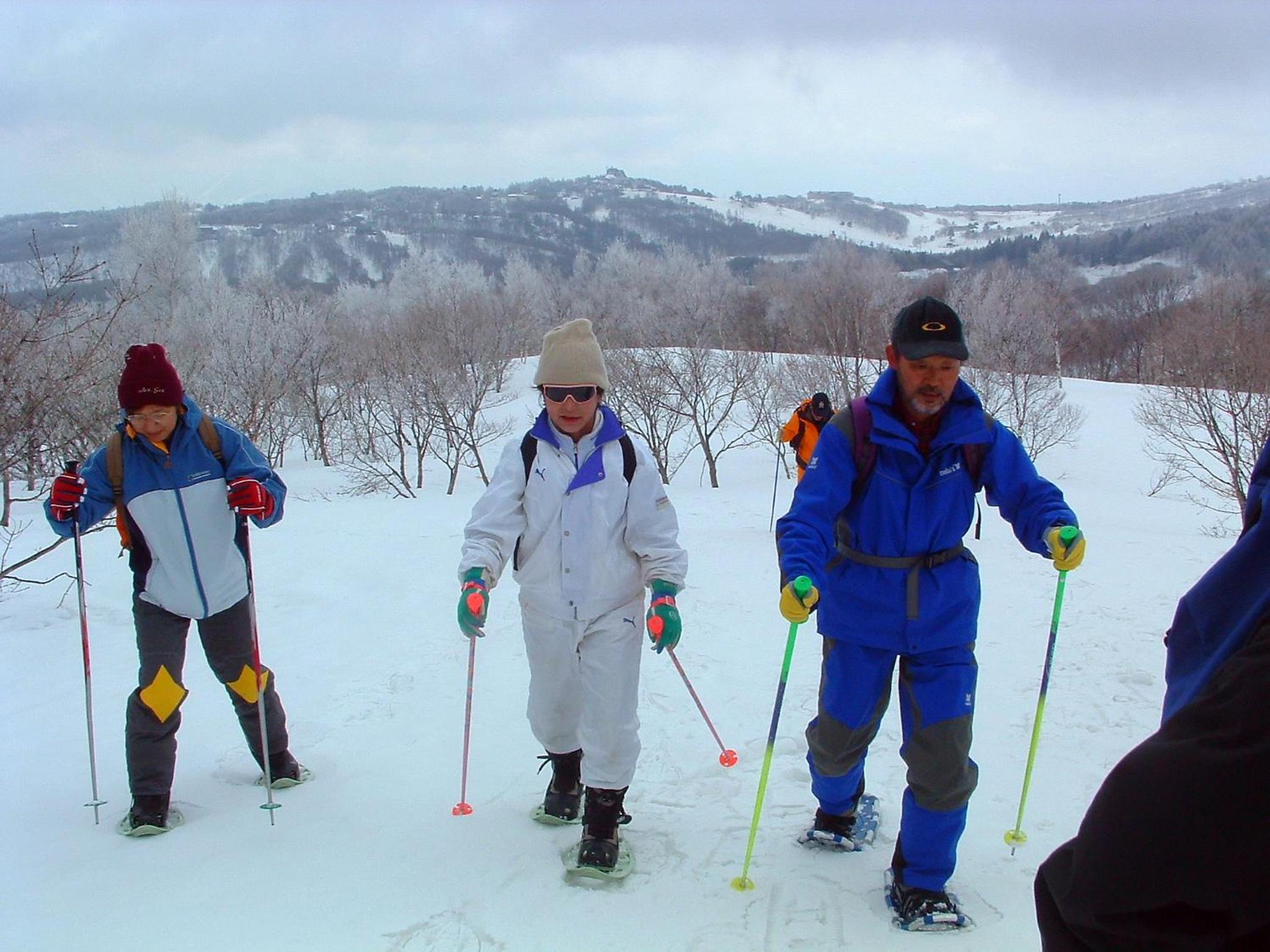 Madarao Elm Pension